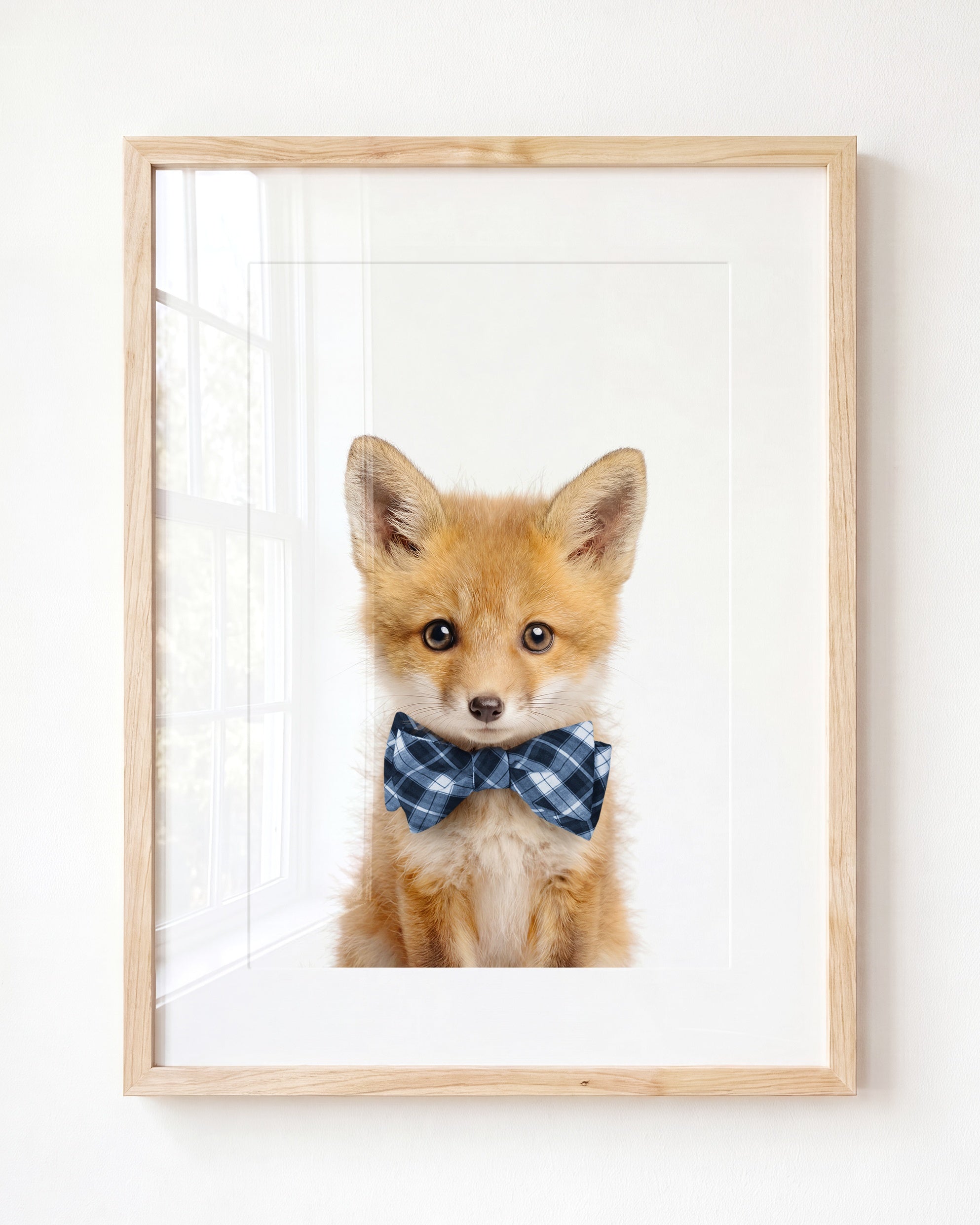 Baby Fox