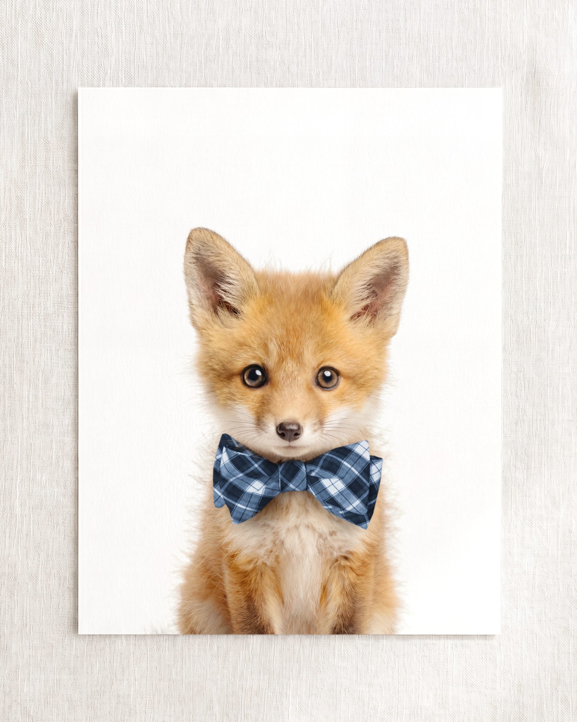 Baby Fox