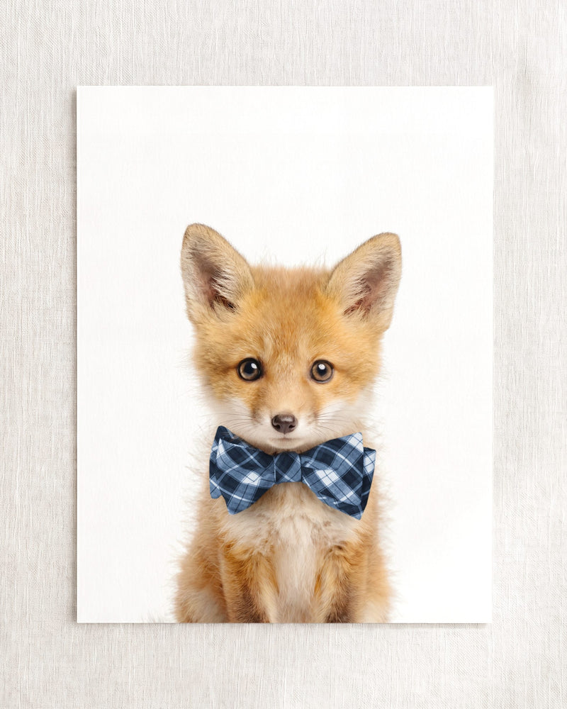 Bow Tie Cornflower