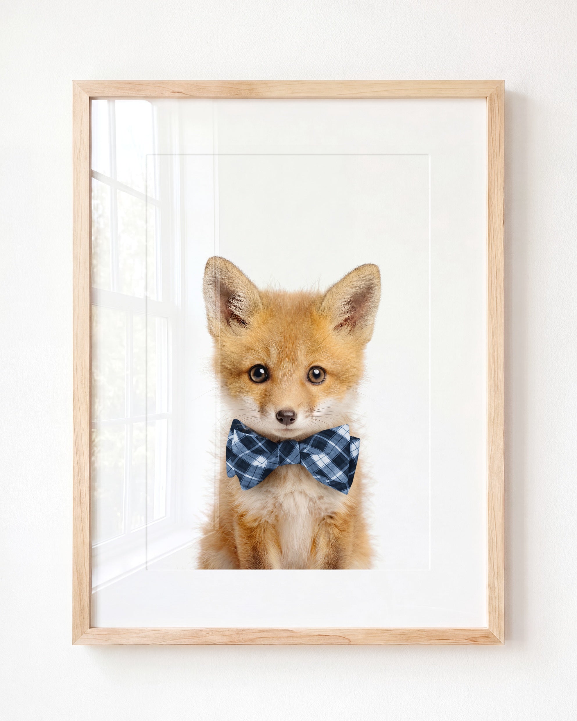 Baby Fox