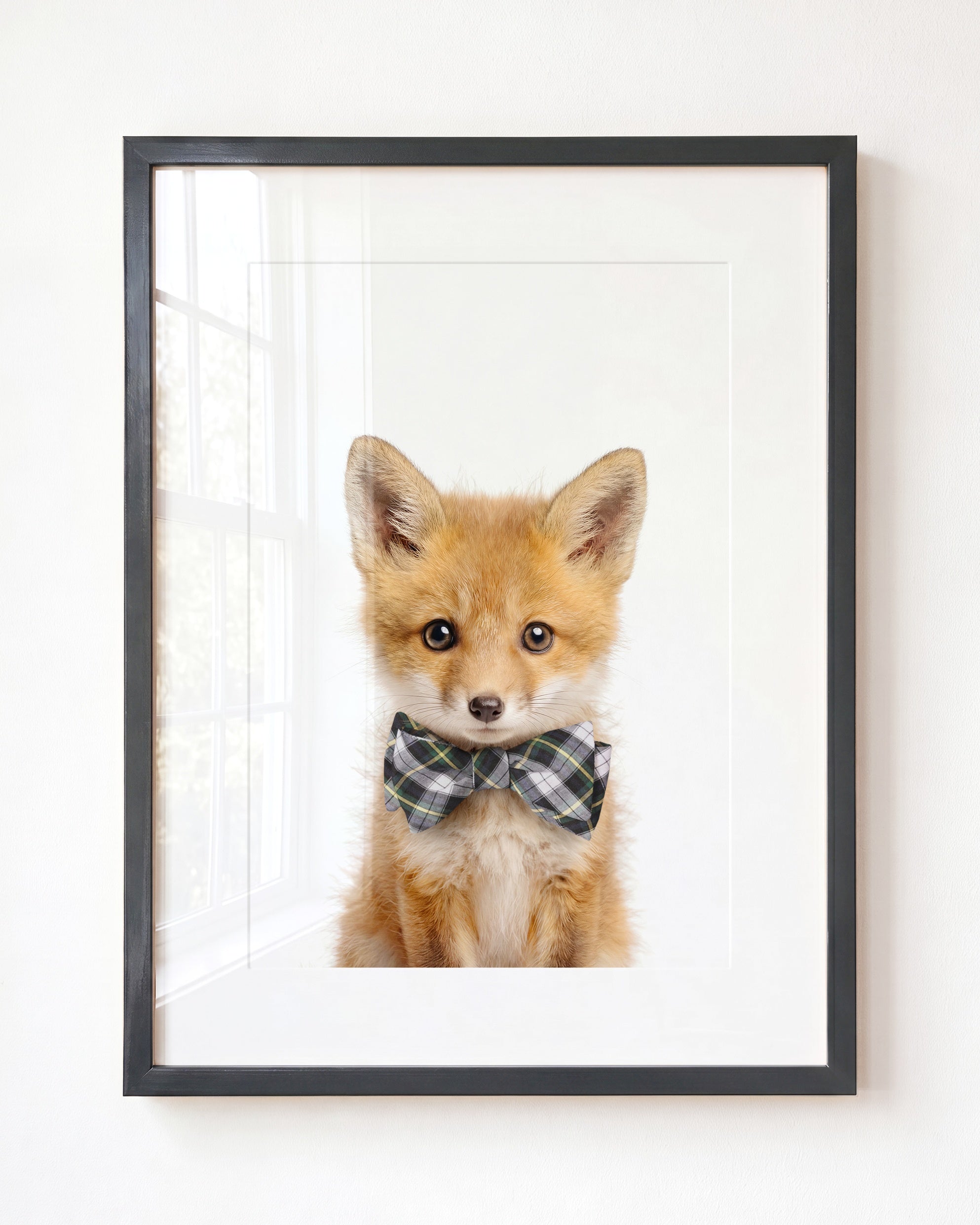 Baby Fox