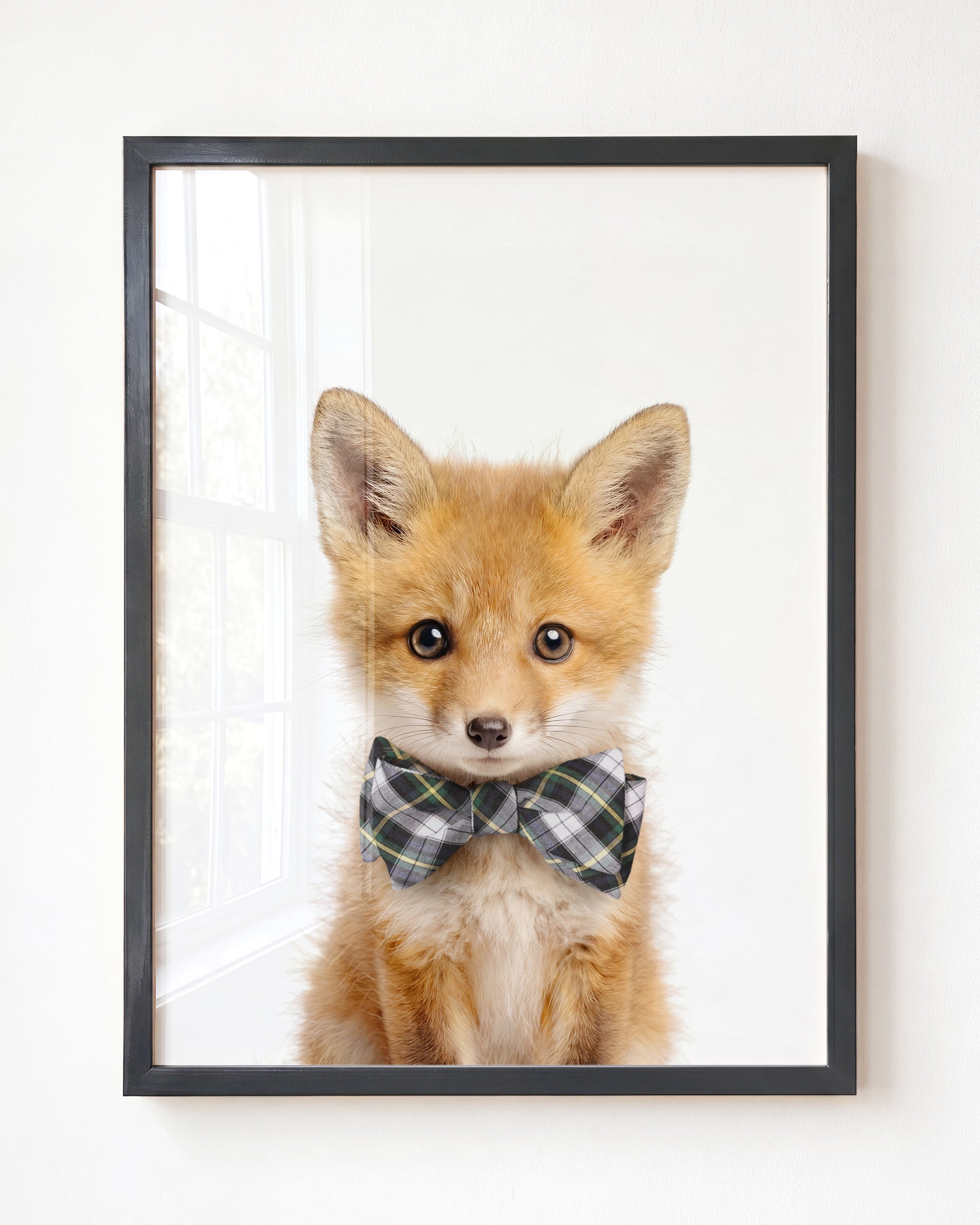 Baby Fox