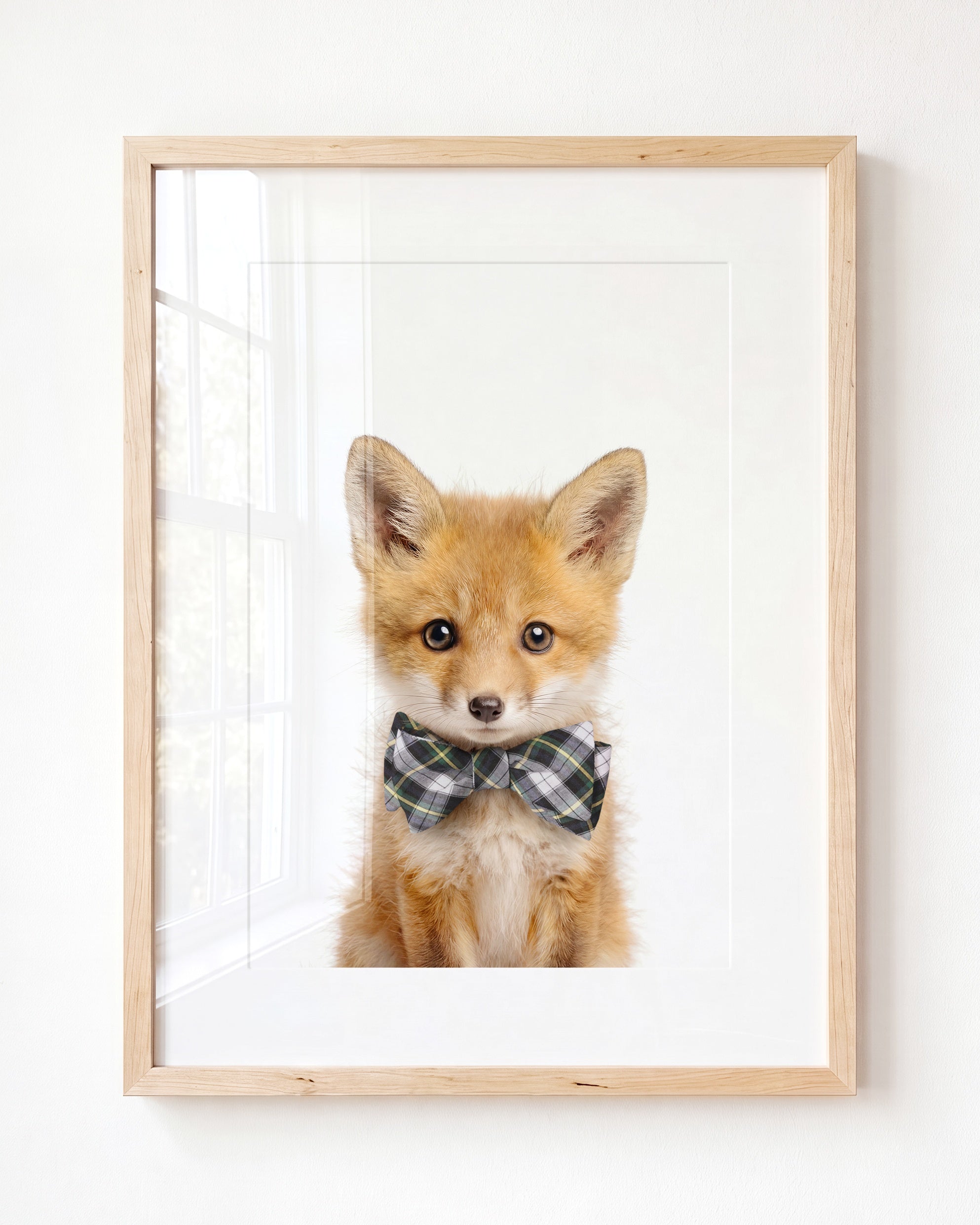Baby Fox