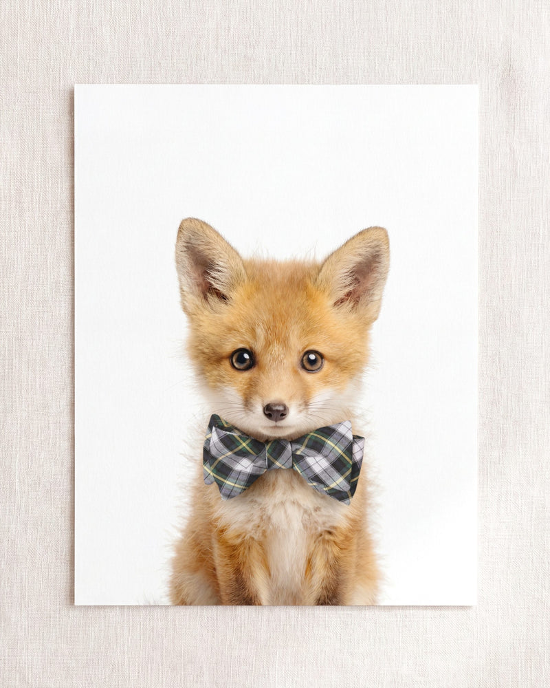 Bow Tie