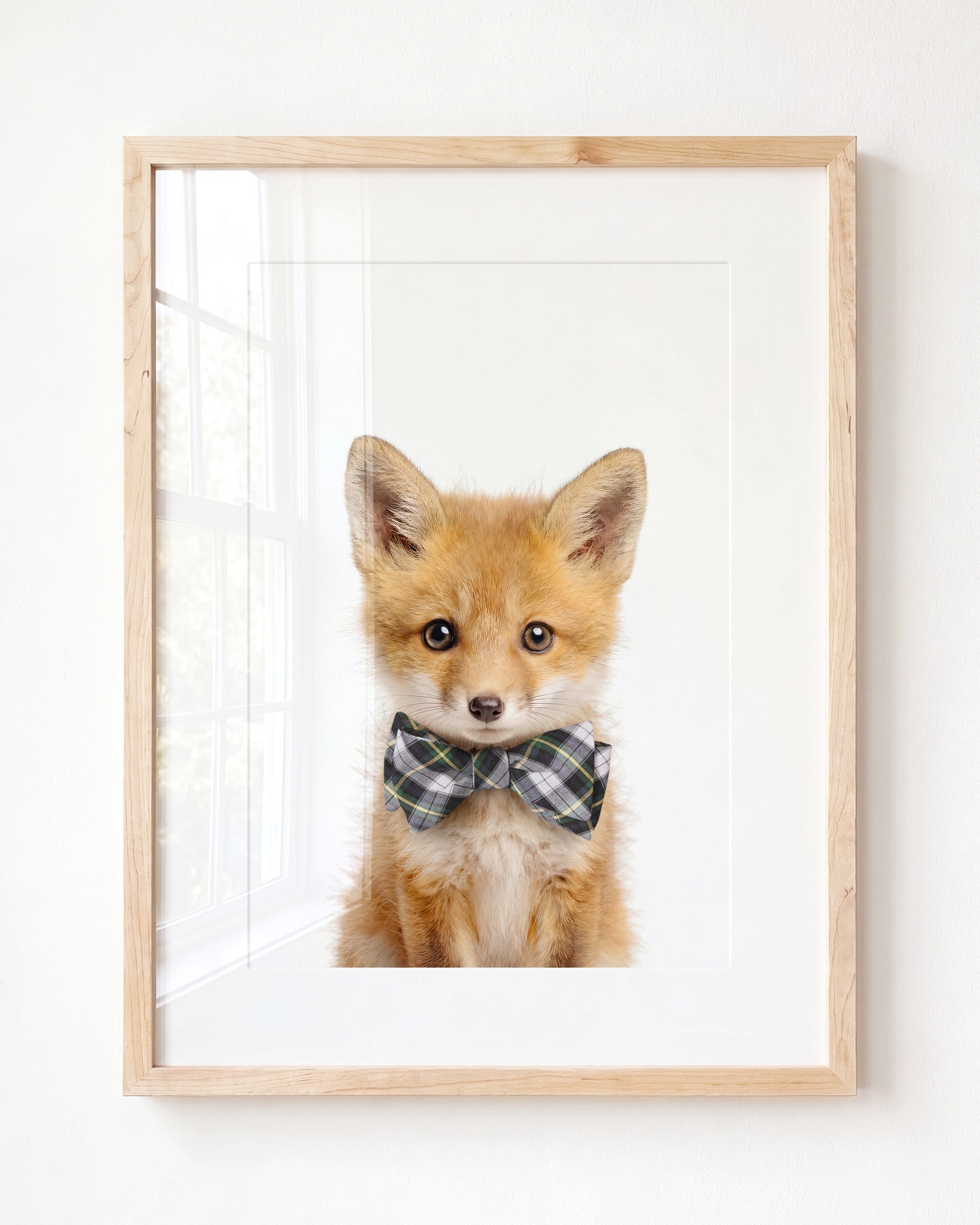 Baby Fox