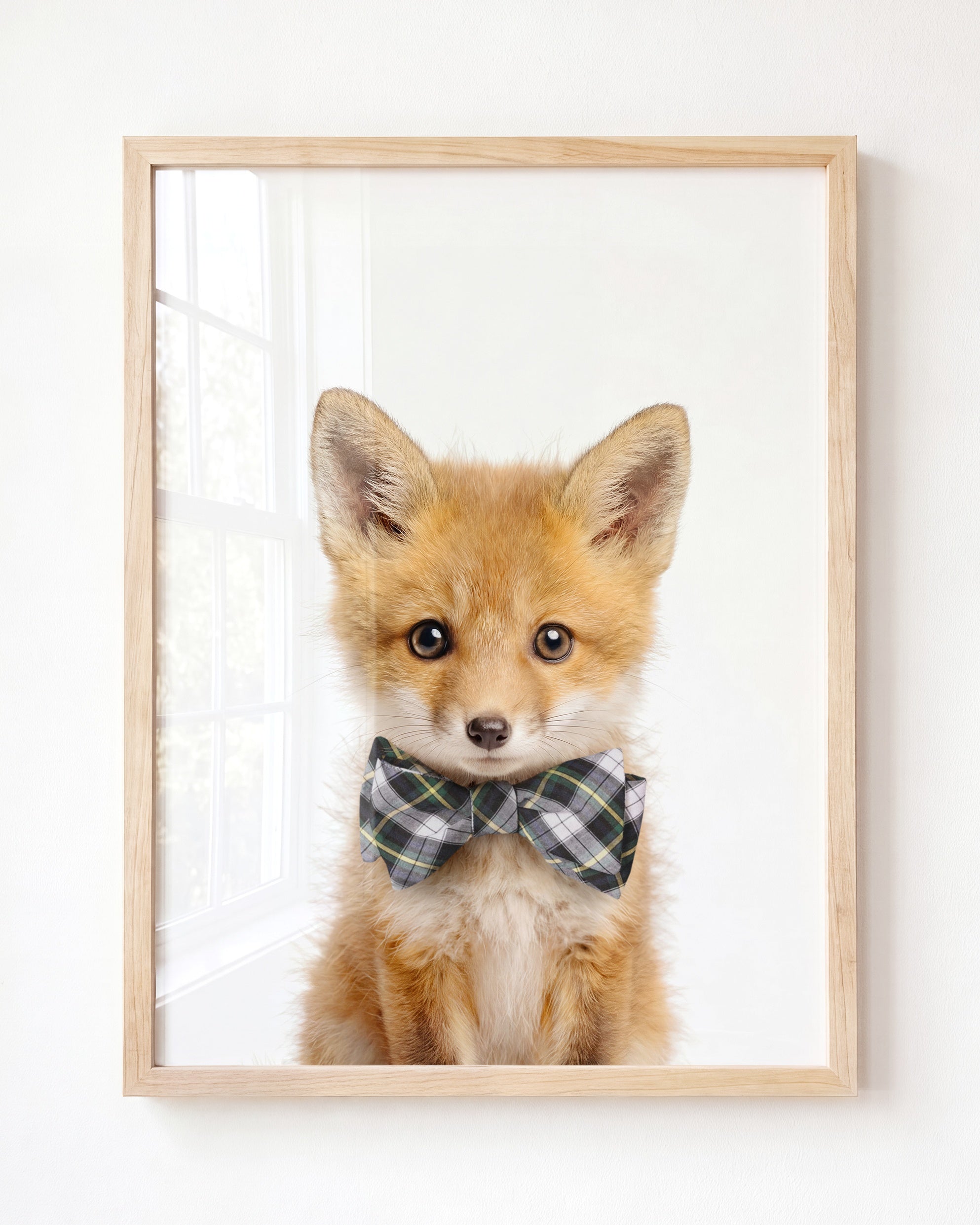 Baby Fox