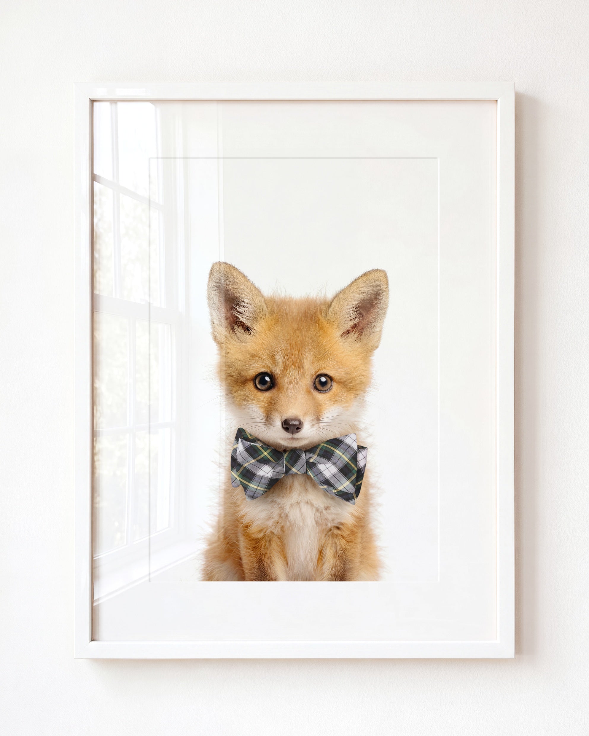 Baby Fox