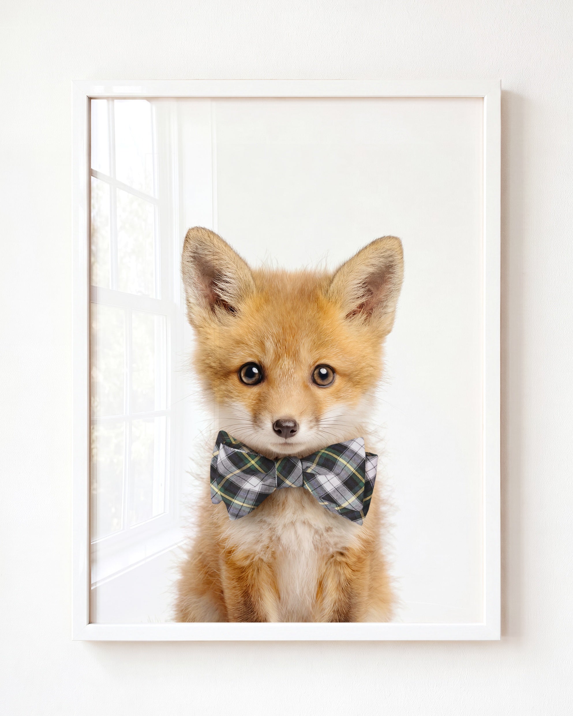 Baby Fox