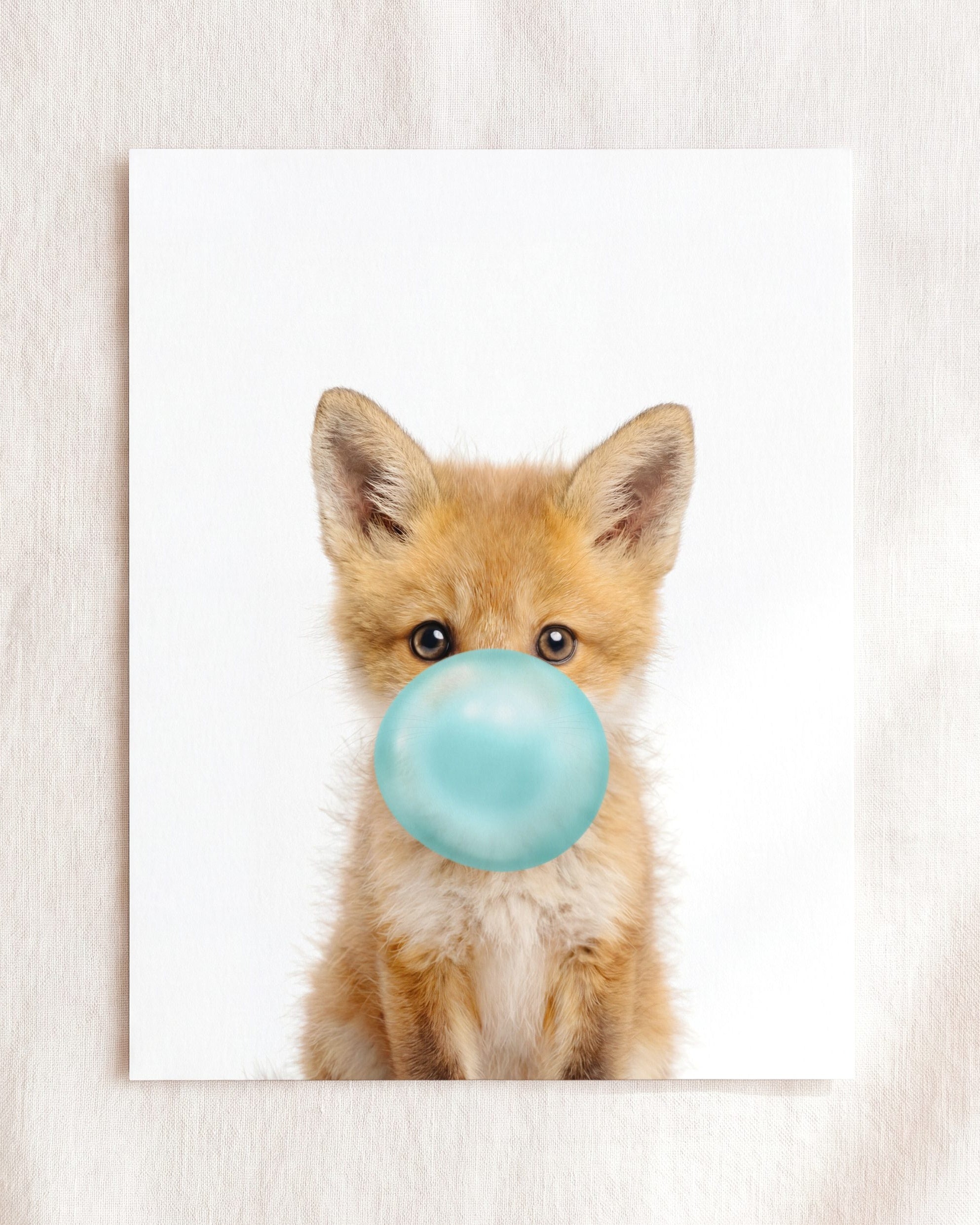 Baby Fox