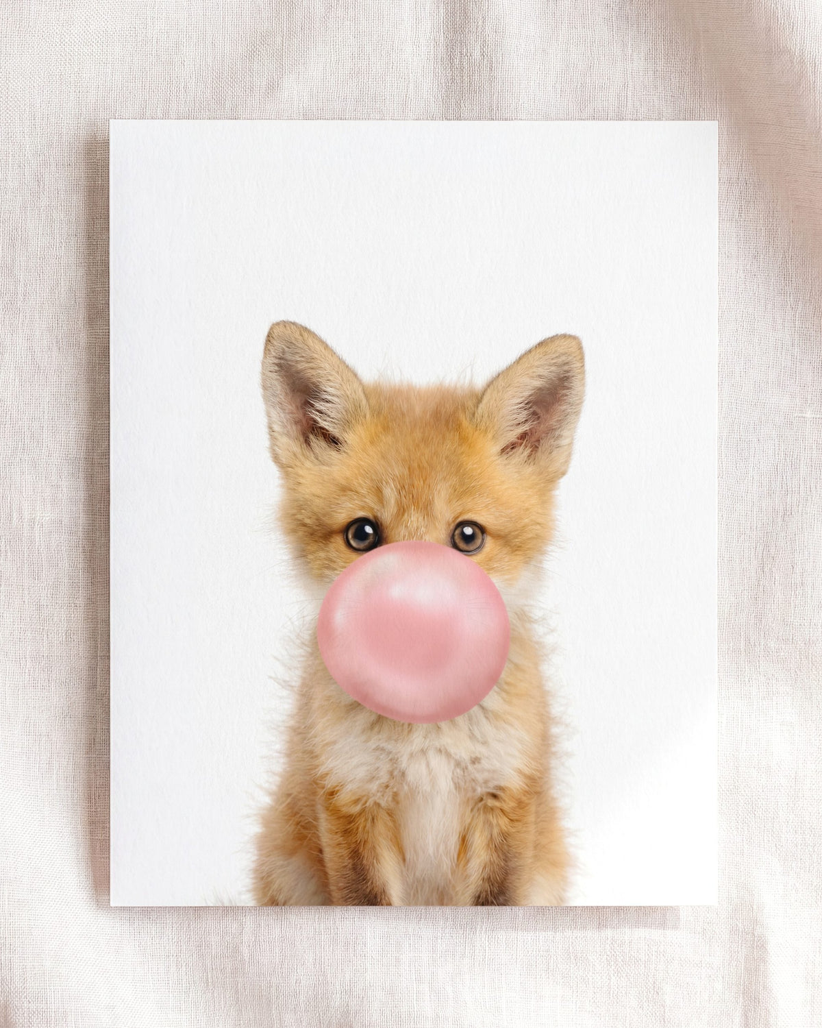 Baby Fox