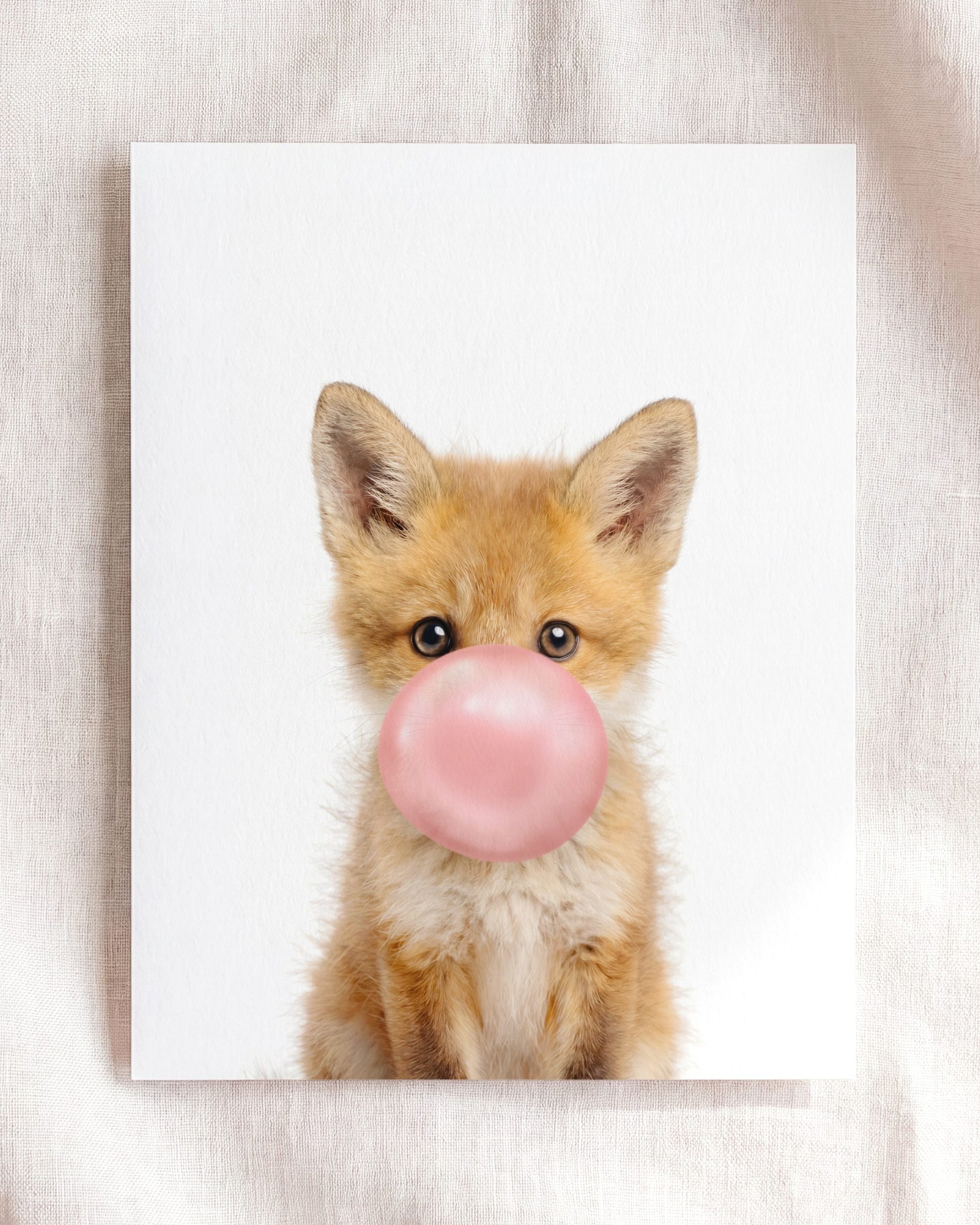 Baby Fox