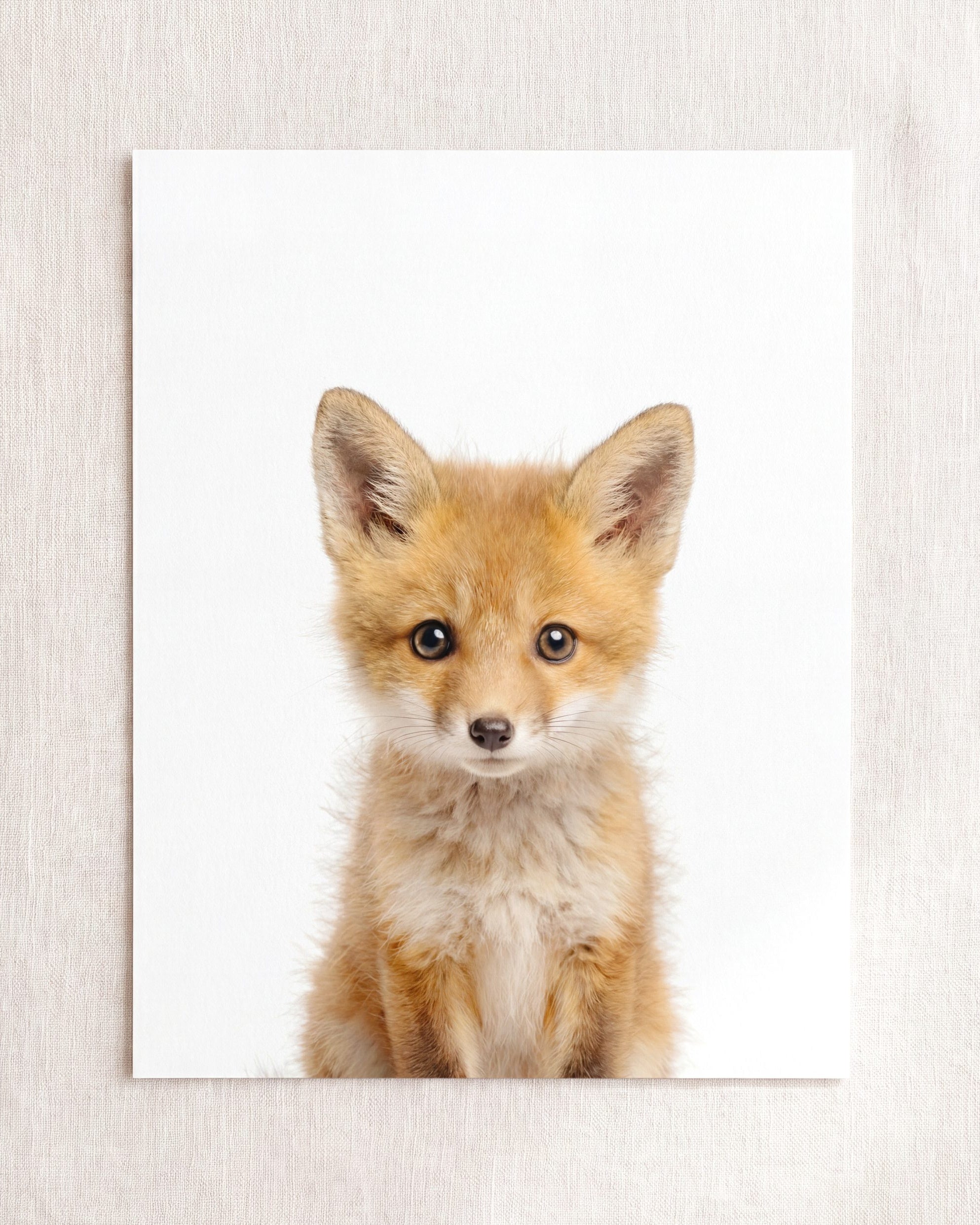 Baby Fox - Classic · 5x7 · Fine Art Print (Unframed) - The Crown