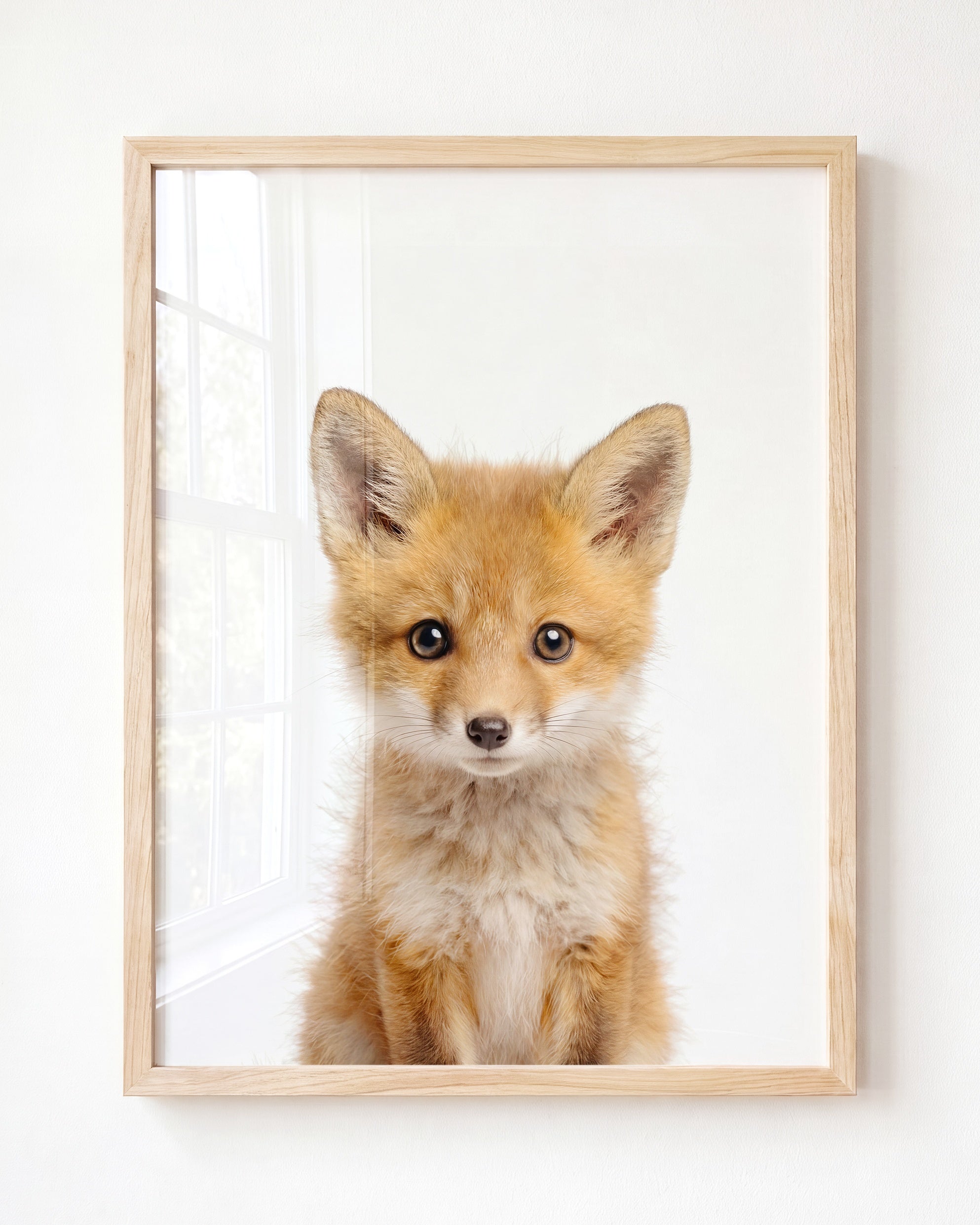Baby Fox