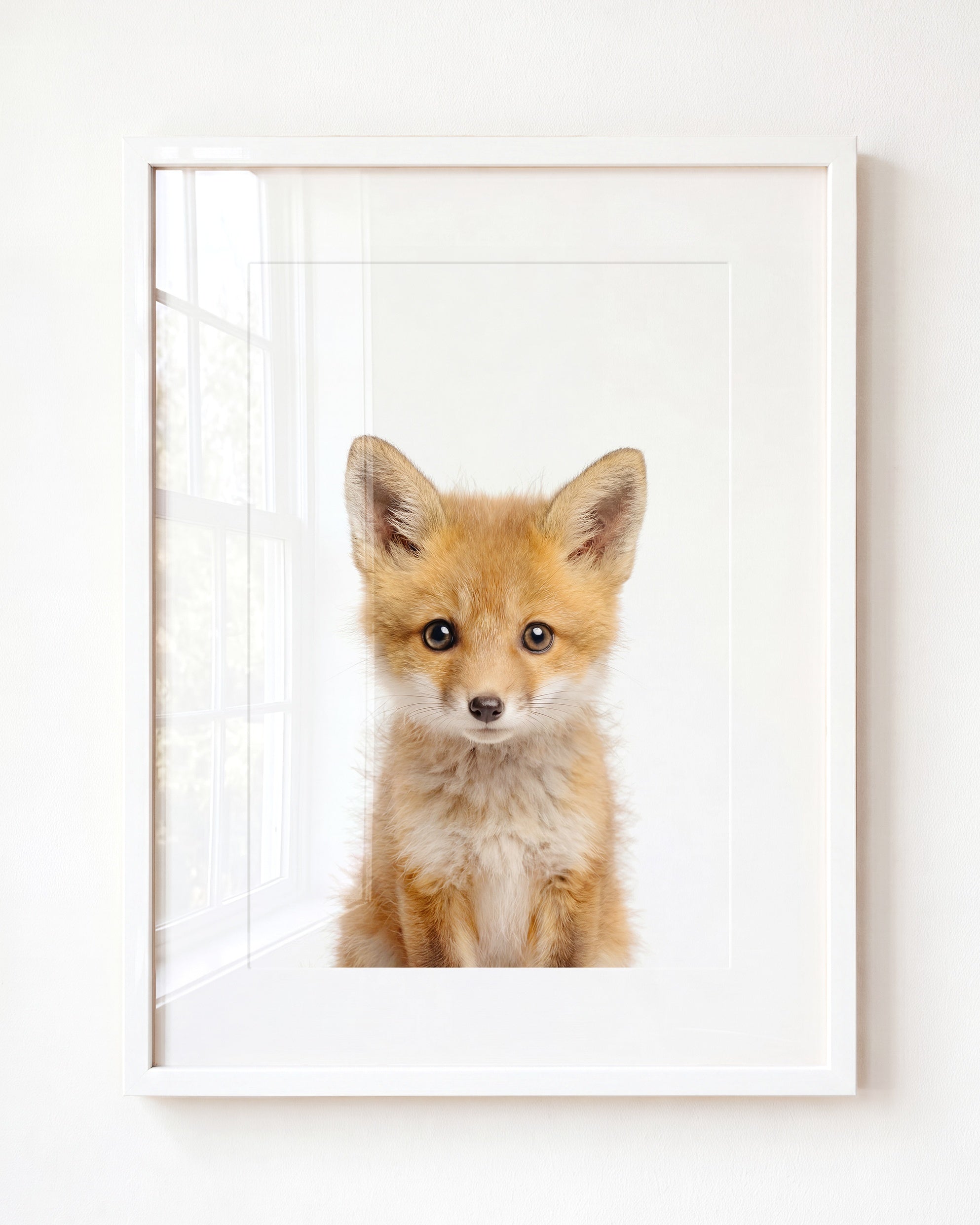 Baby Fox