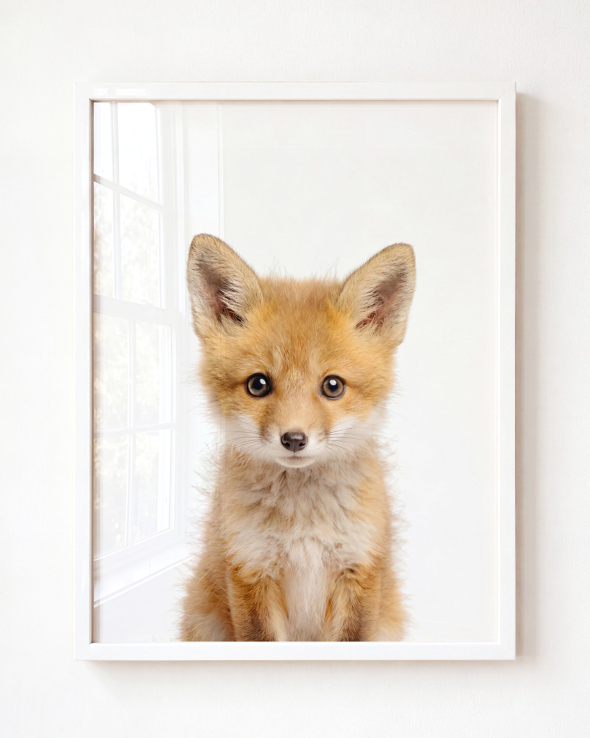 Baby Fox