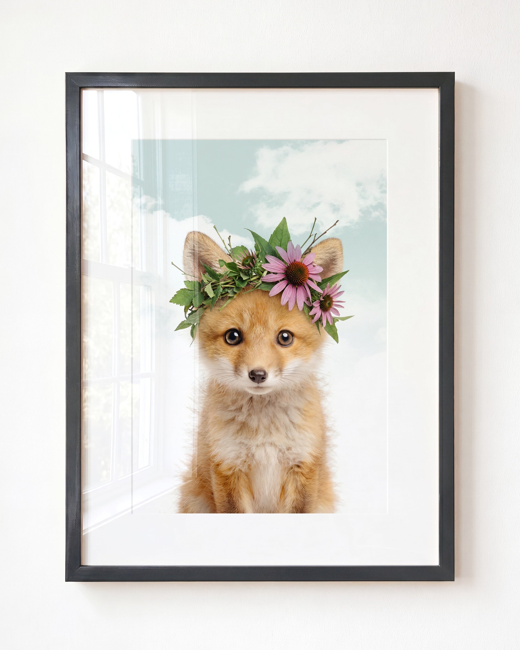 Baby Fox