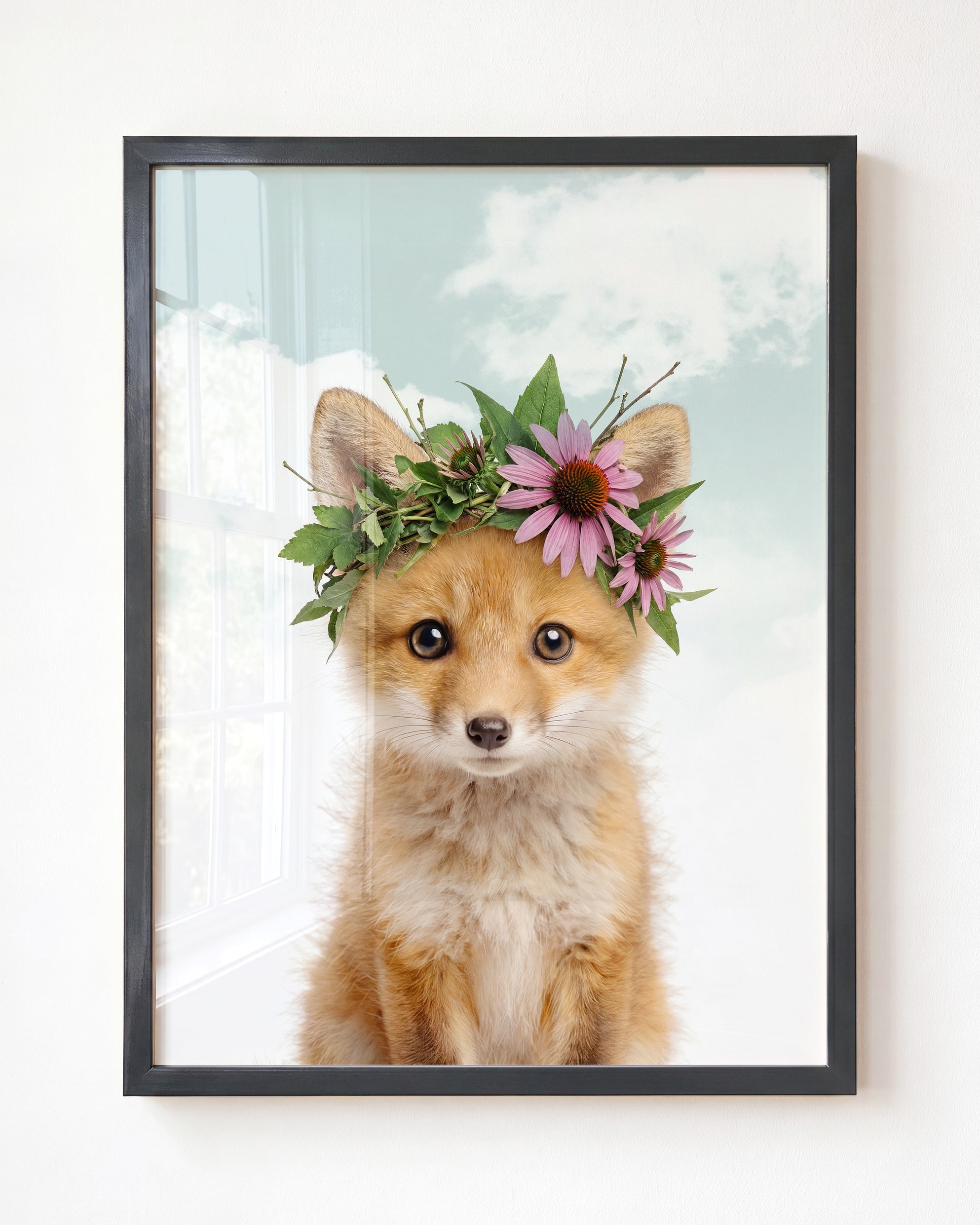Baby Fox