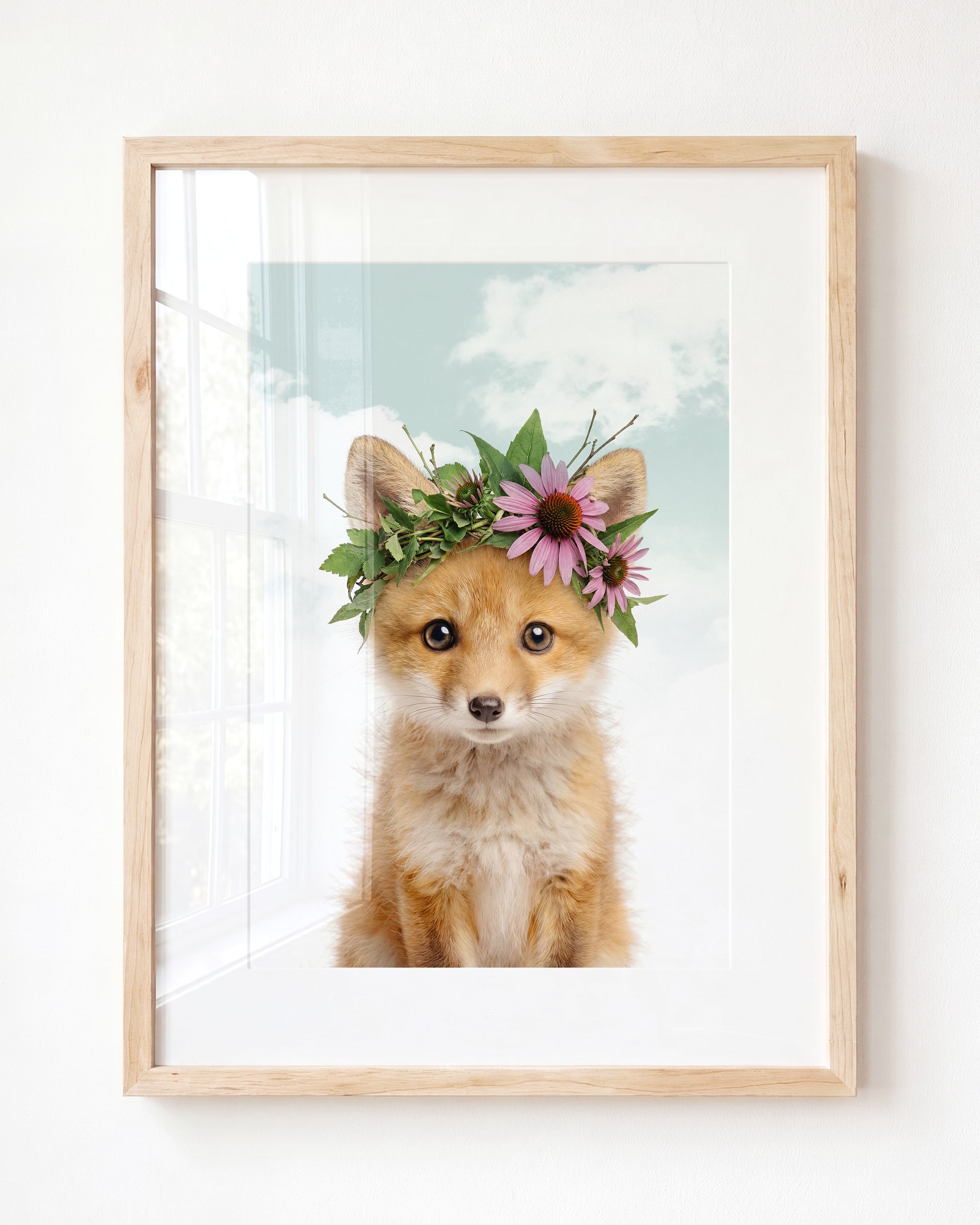 Baby Fox