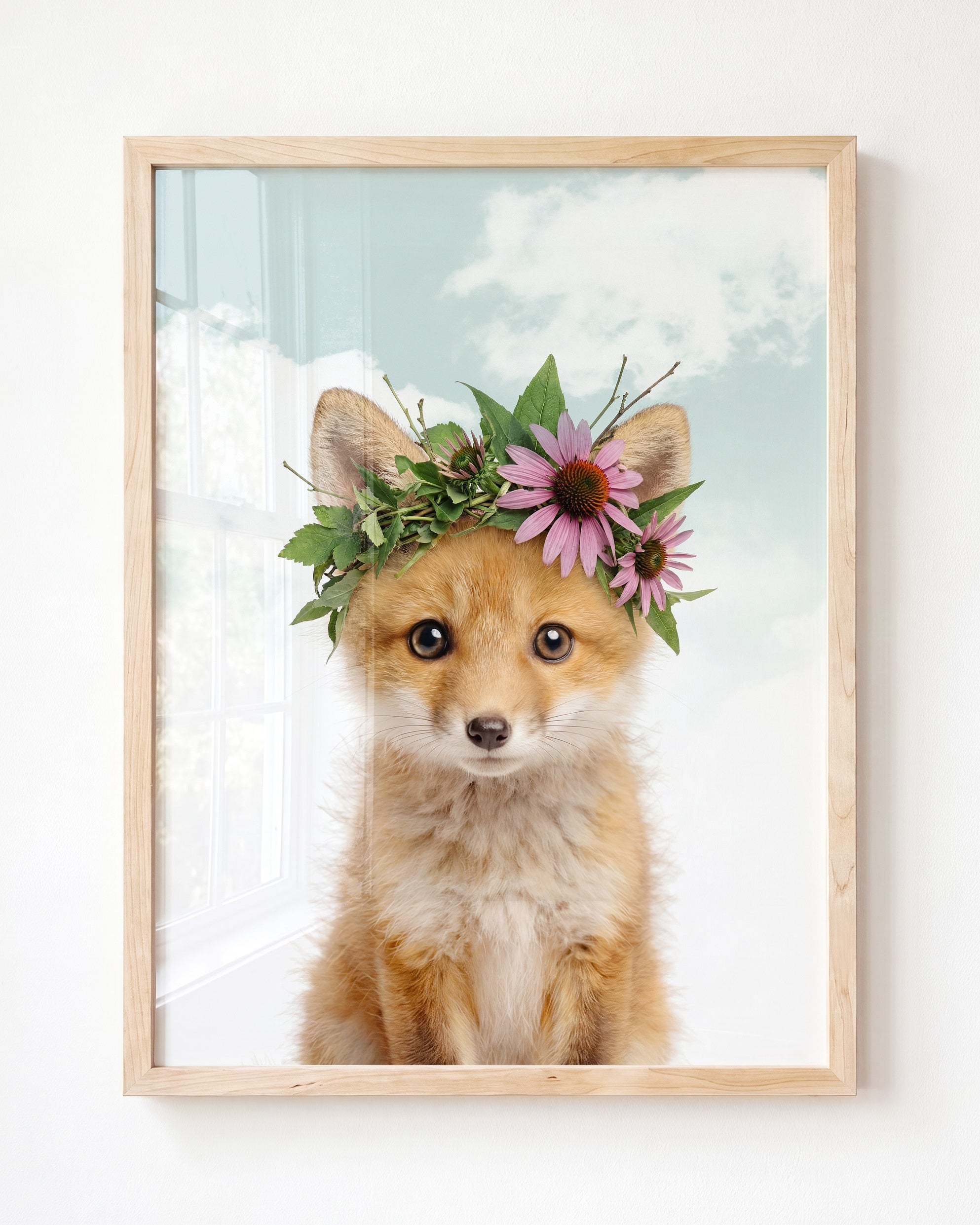 Baby Fox
