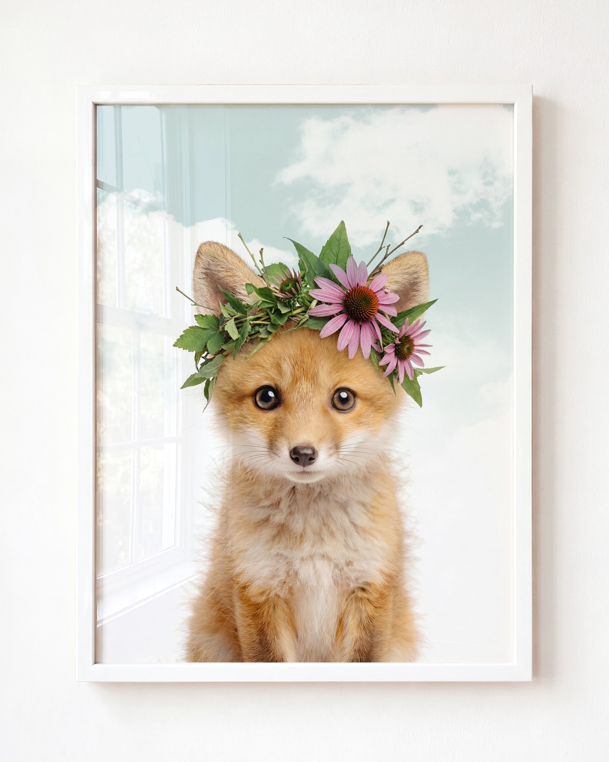 Baby Fox