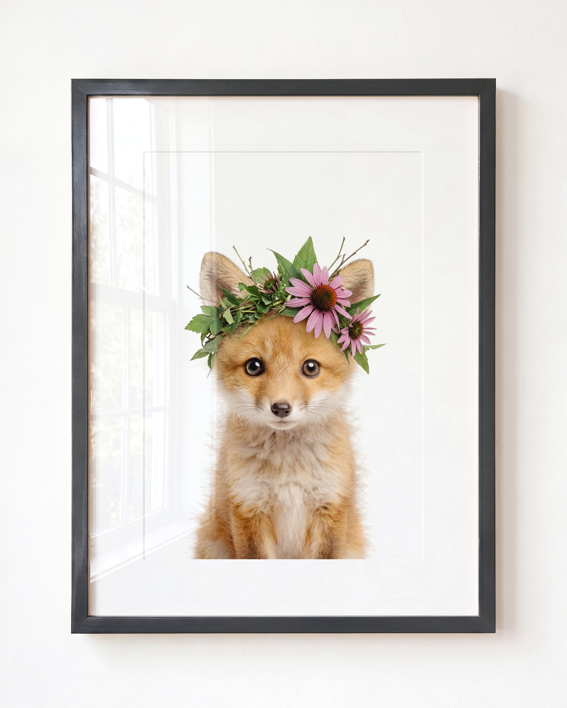 Baby Fox