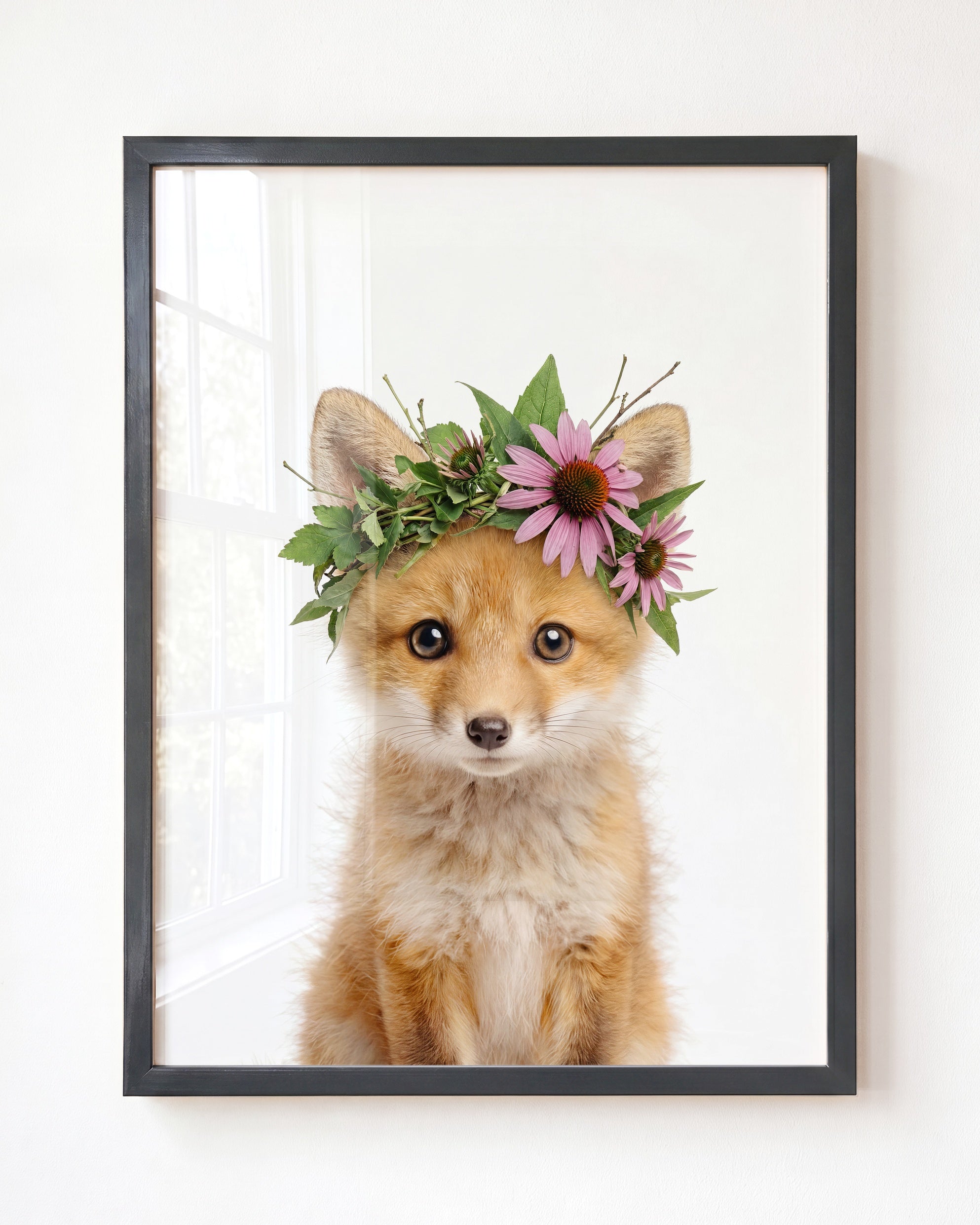 Baby Fox