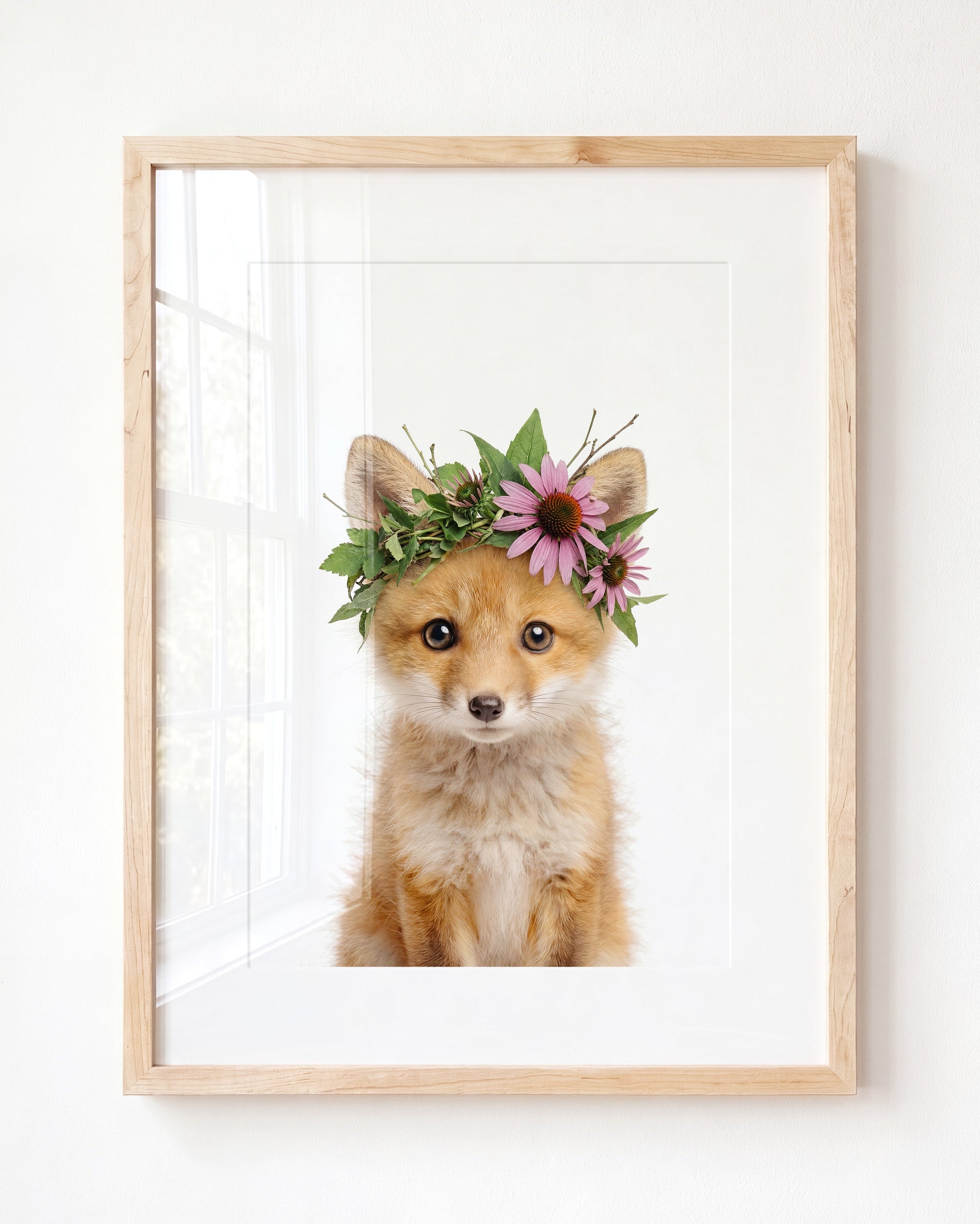 Baby Fox