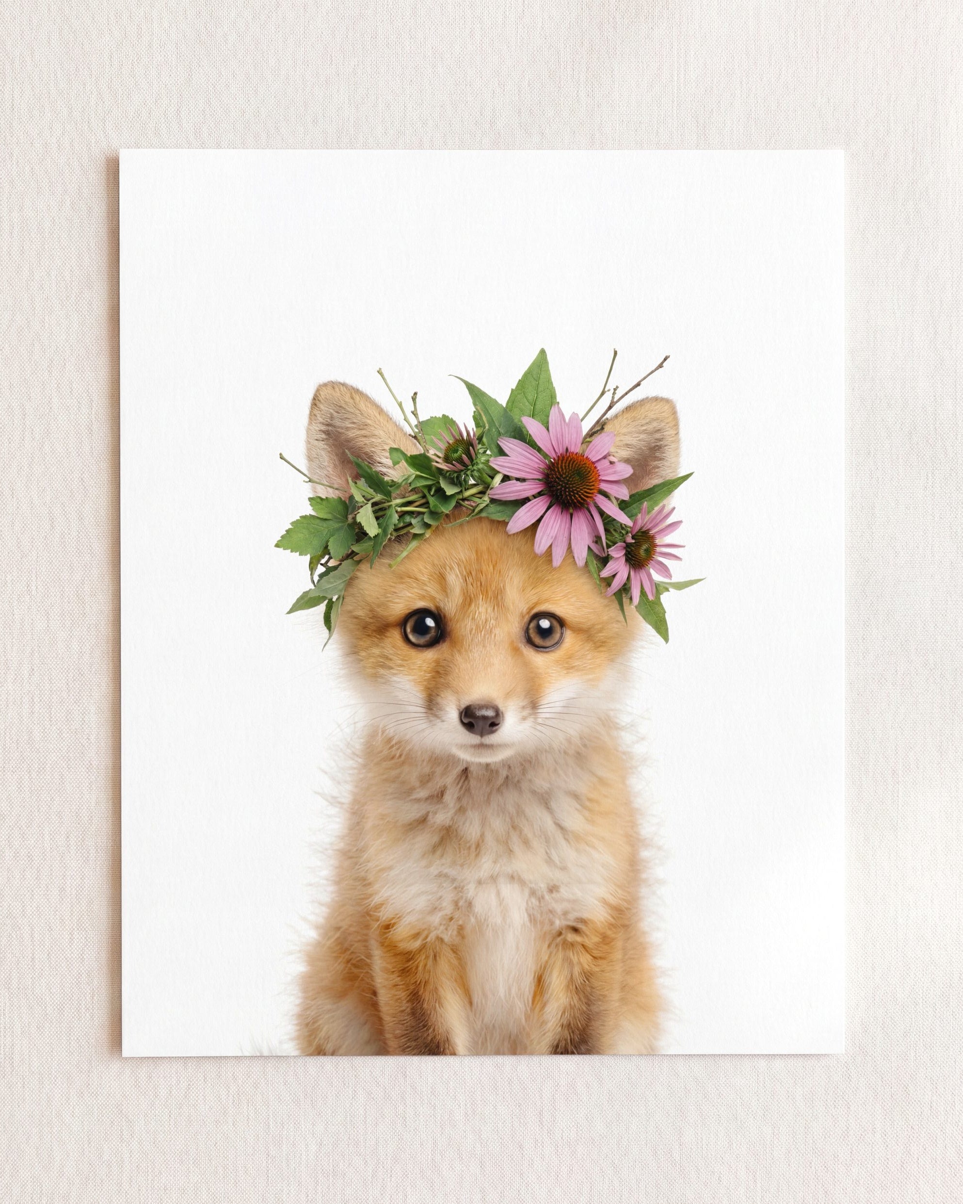 Baby Fox