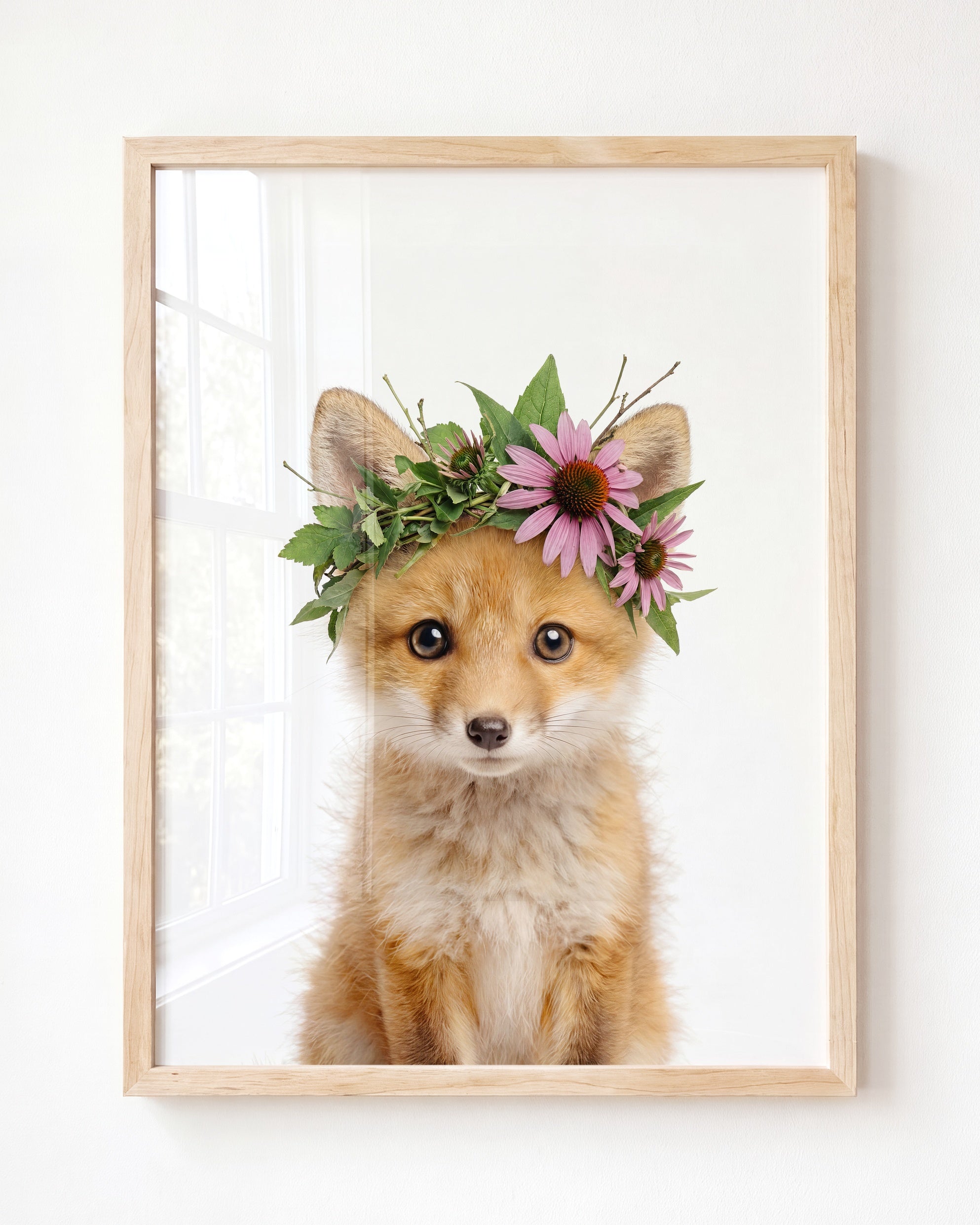 Baby Fox