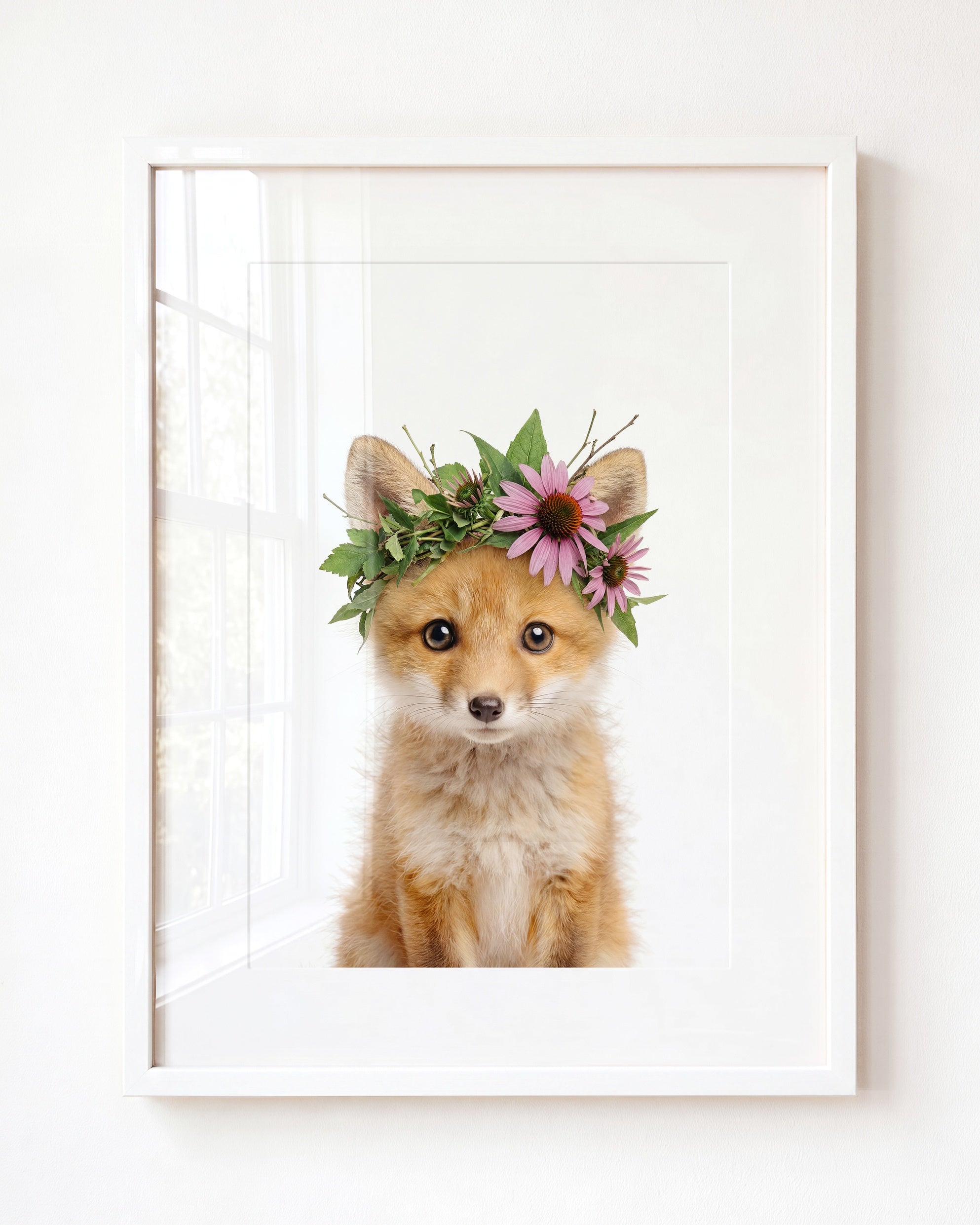 Baby Fox