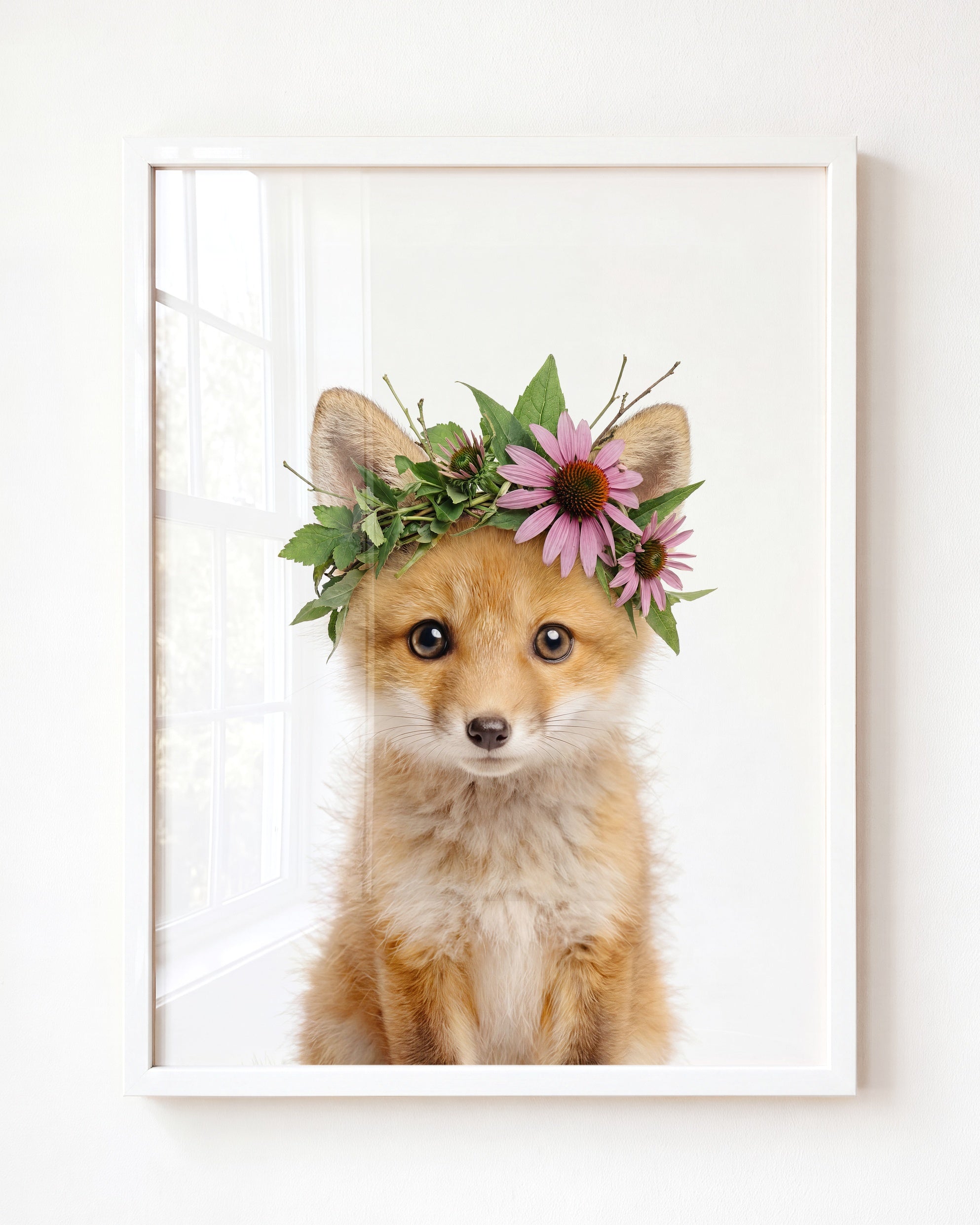 Baby Fox