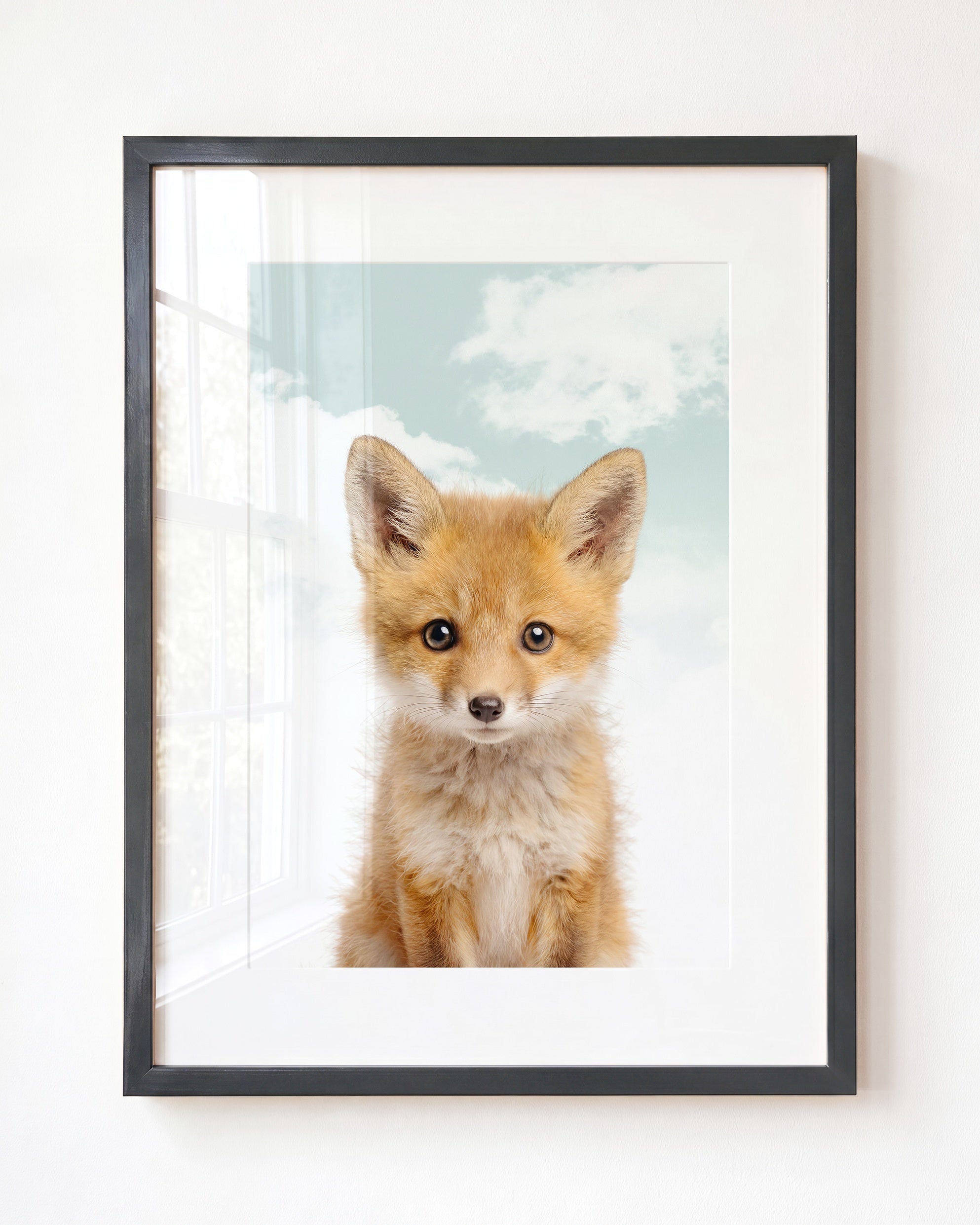 Baby Fox