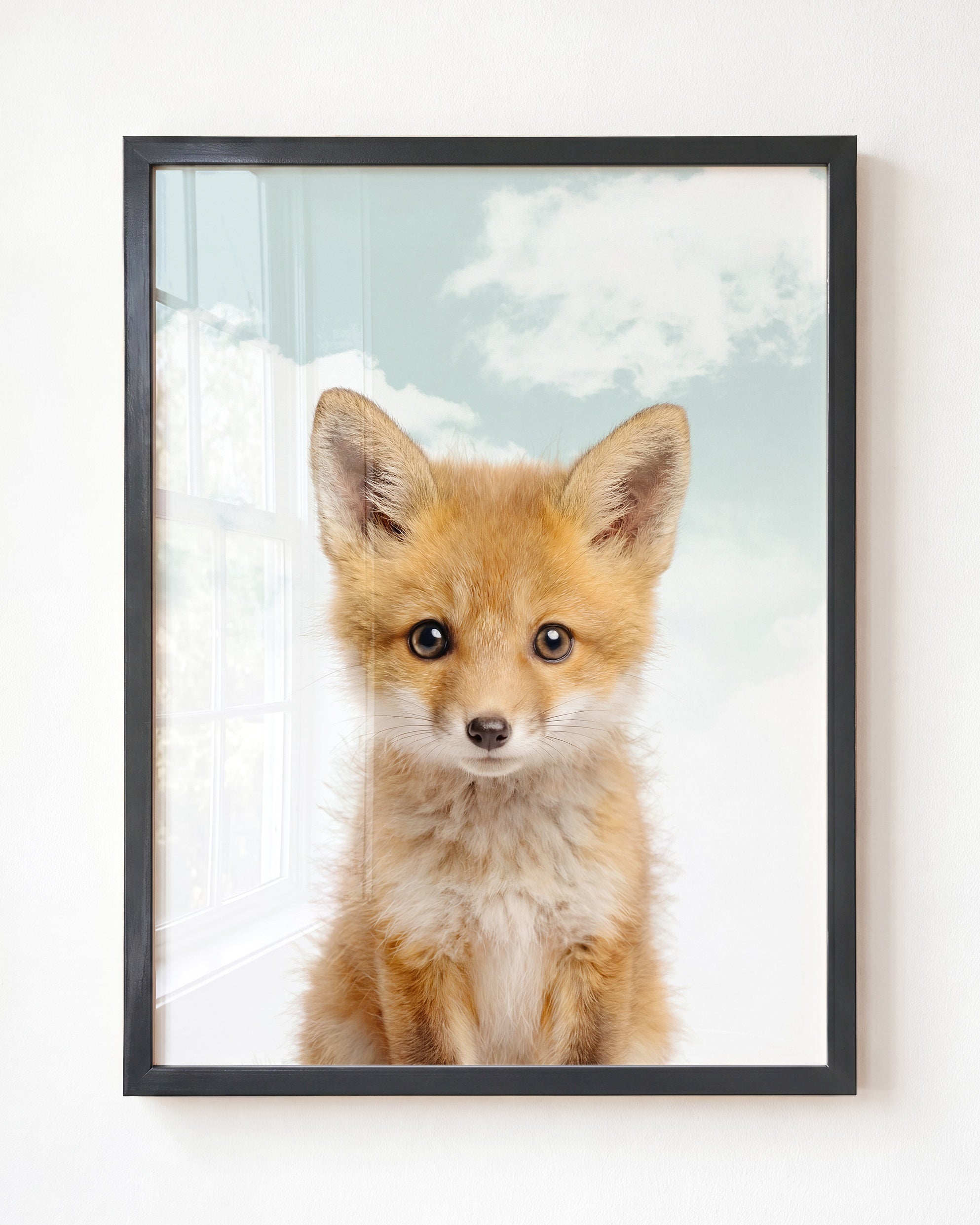 Baby Fox