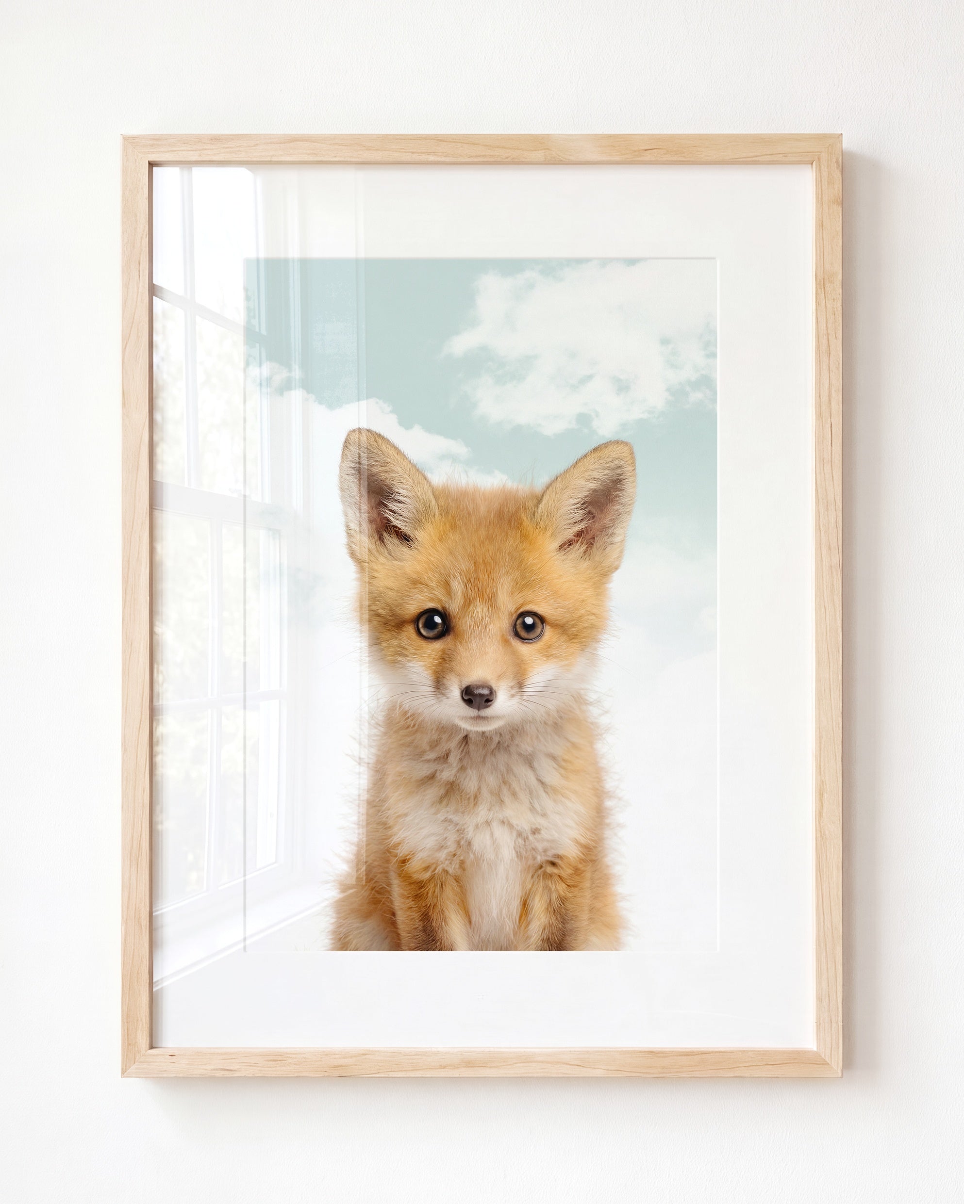 Baby Fox