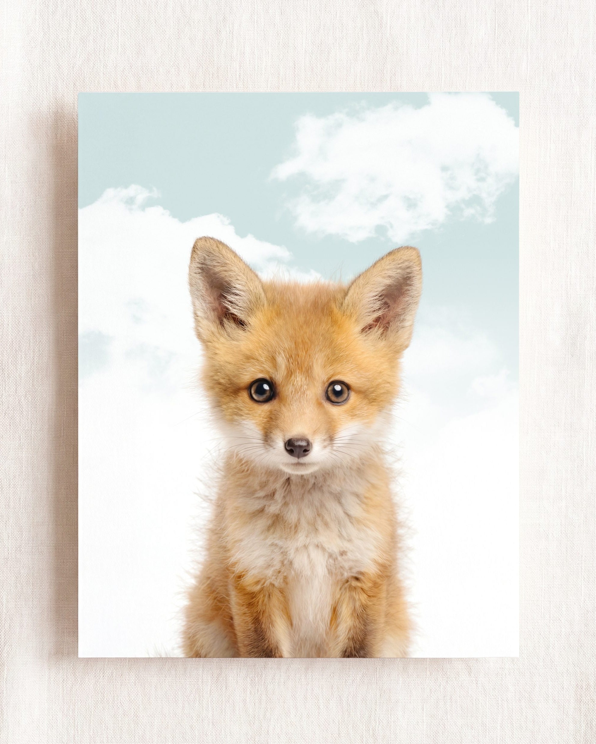 Baby Fox
