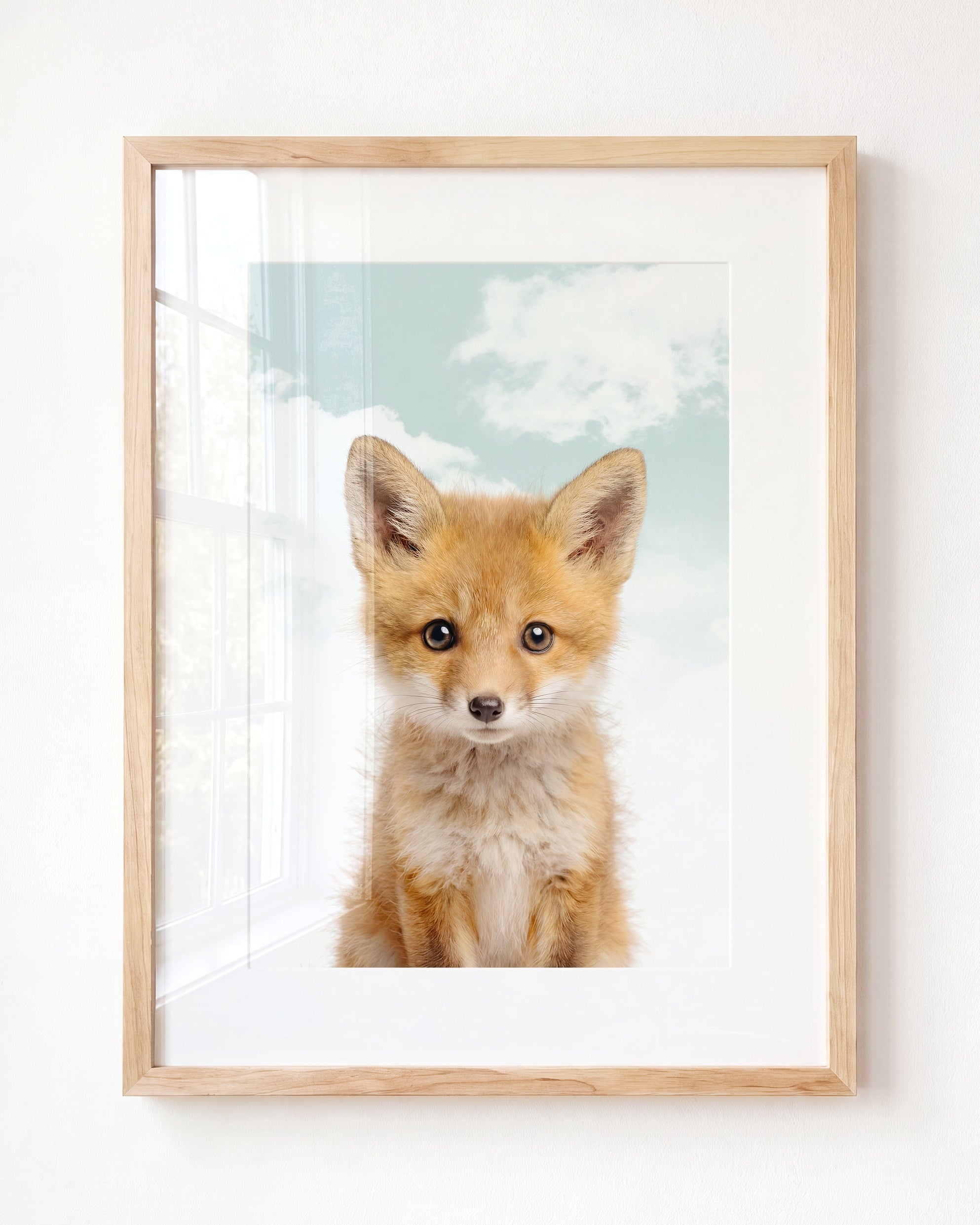 Baby Fox
