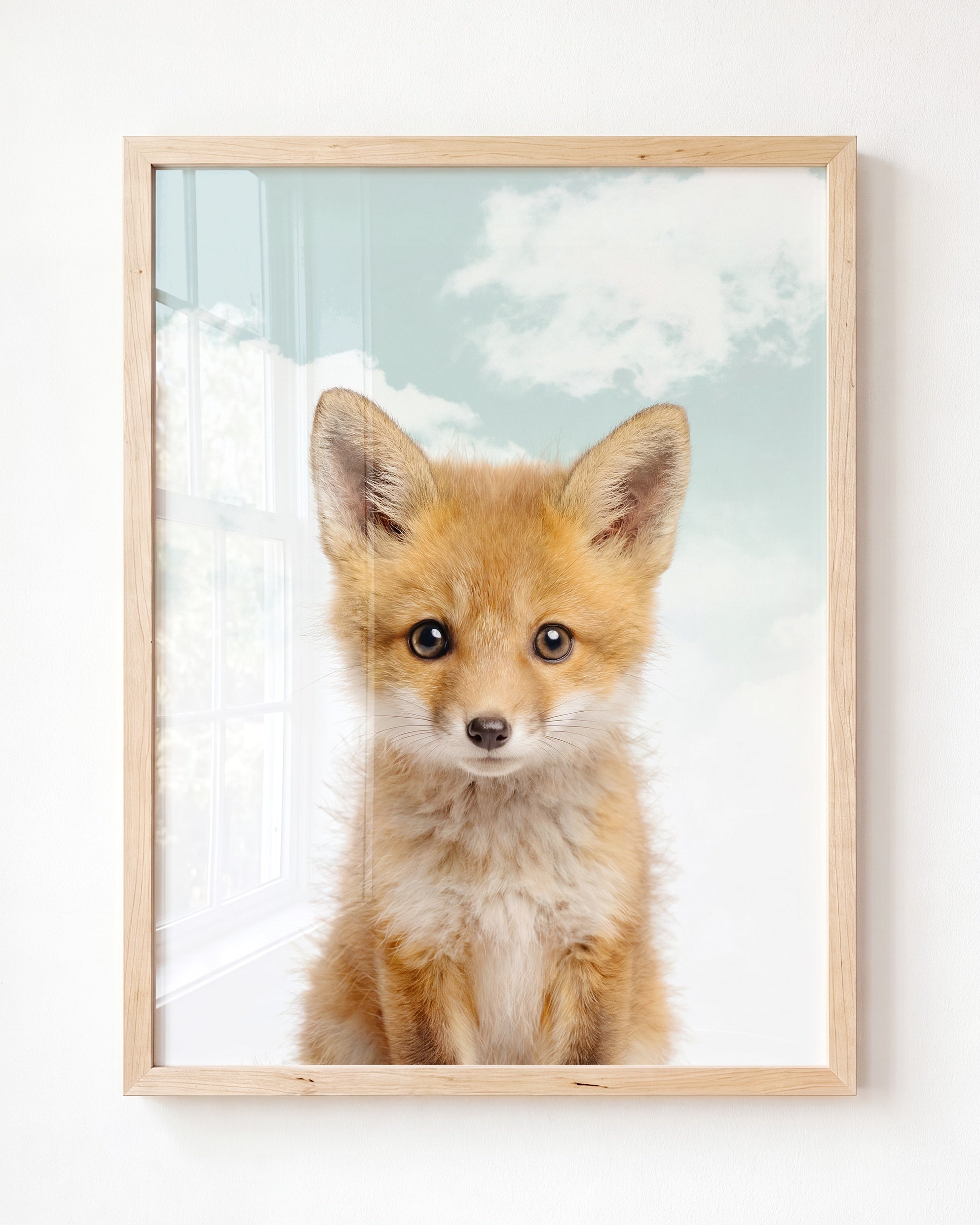 Baby Fox