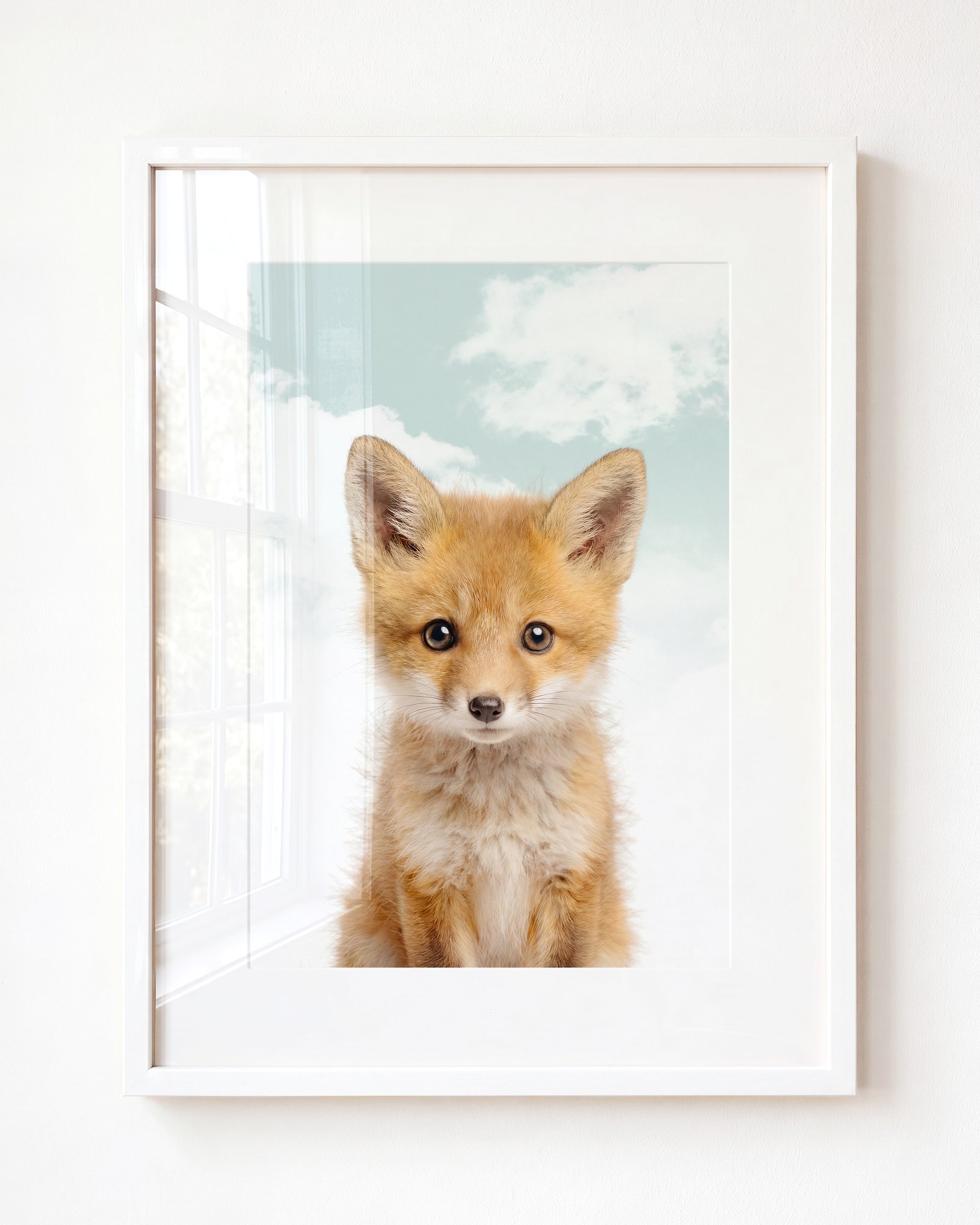 Baby Fox