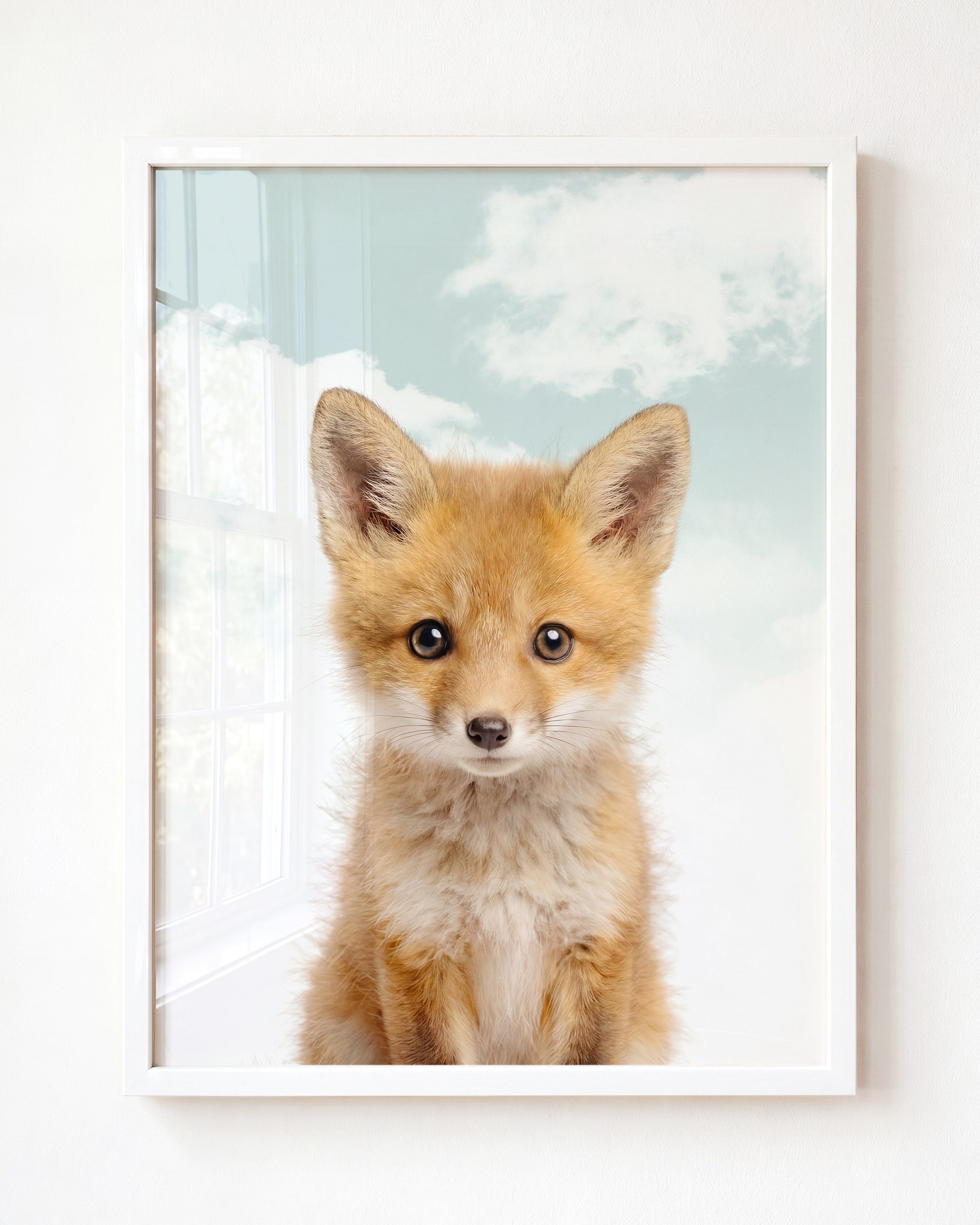 Baby Fox