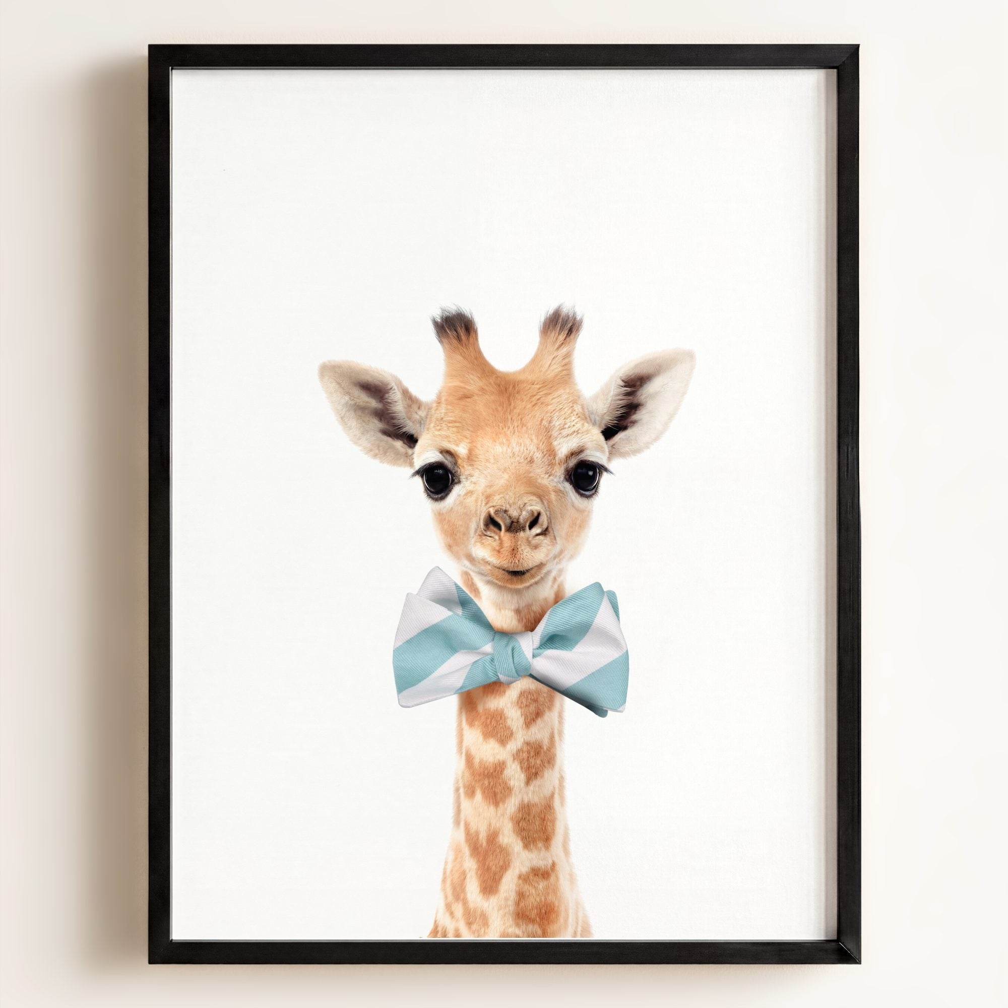 Baby Giraffe