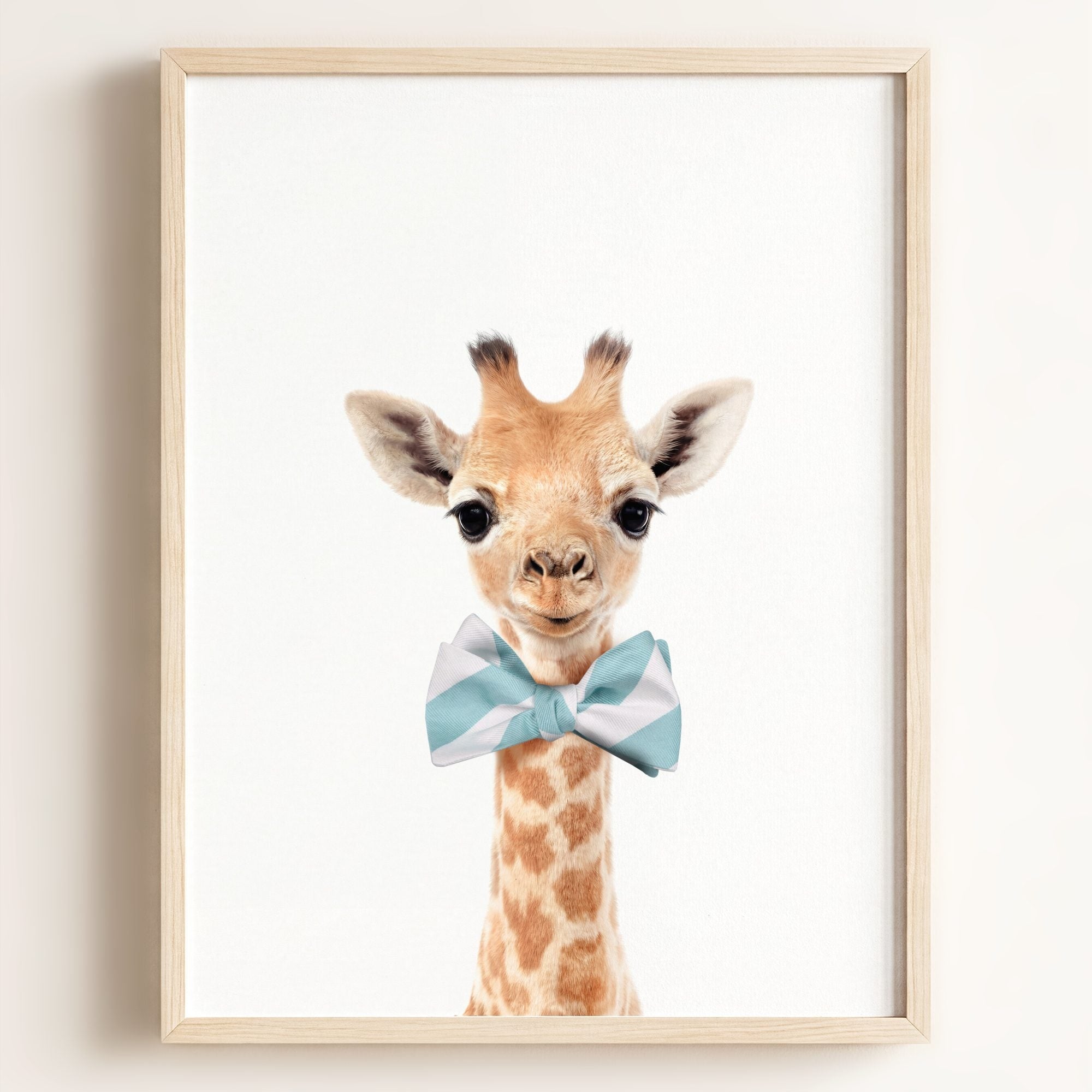 Baby Giraffe