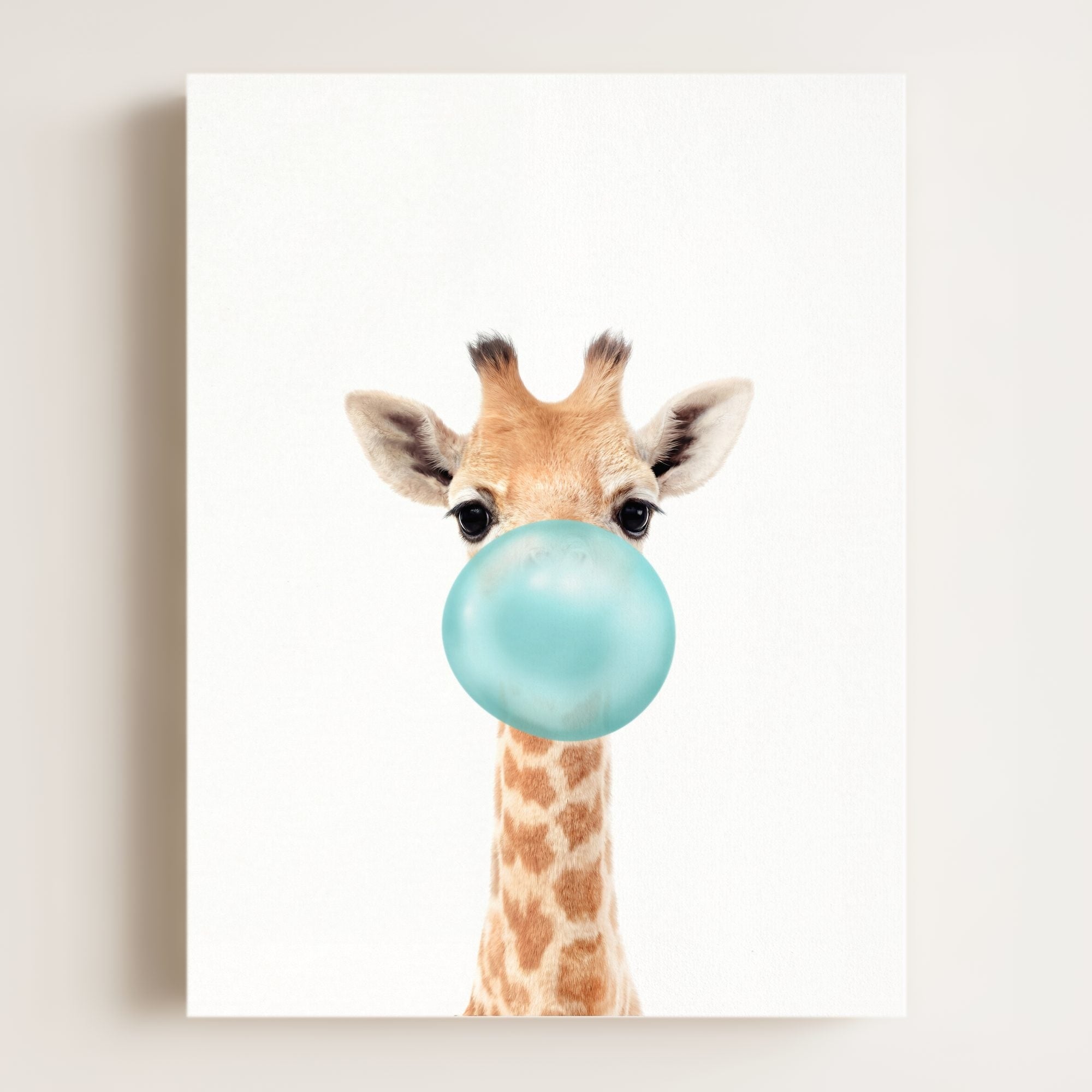 Baby Giraffe