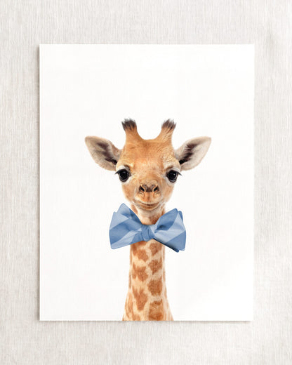 Baby Giraffe