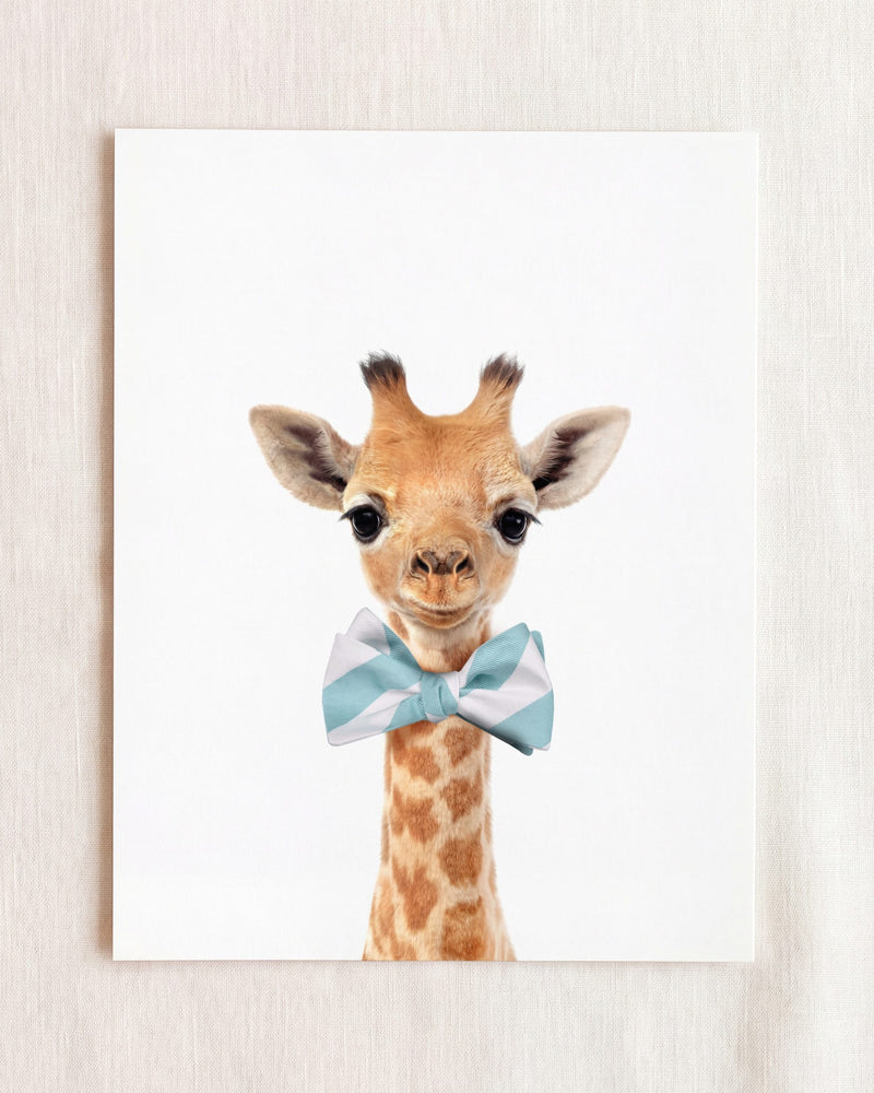 Bow Tie