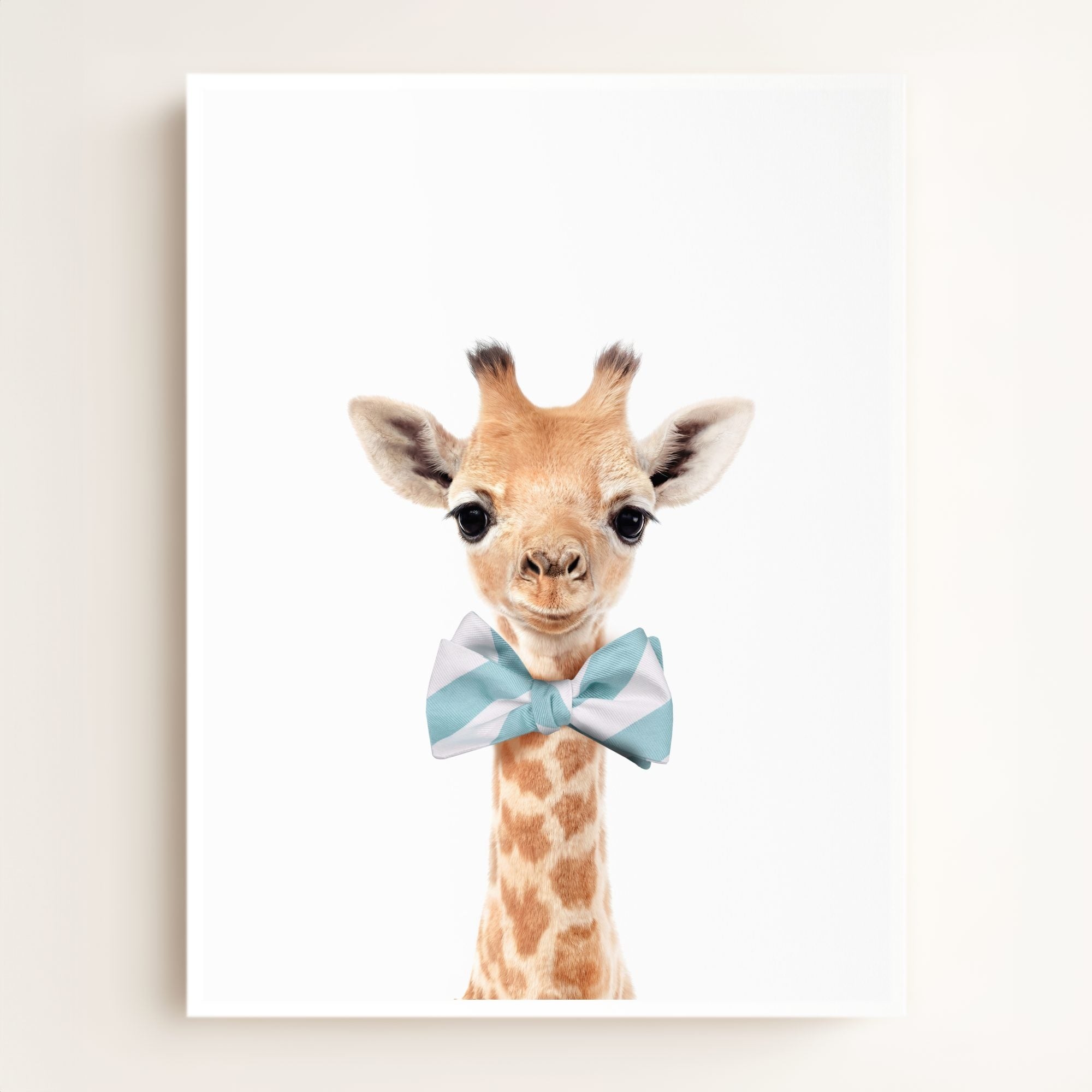 Baby Giraffe