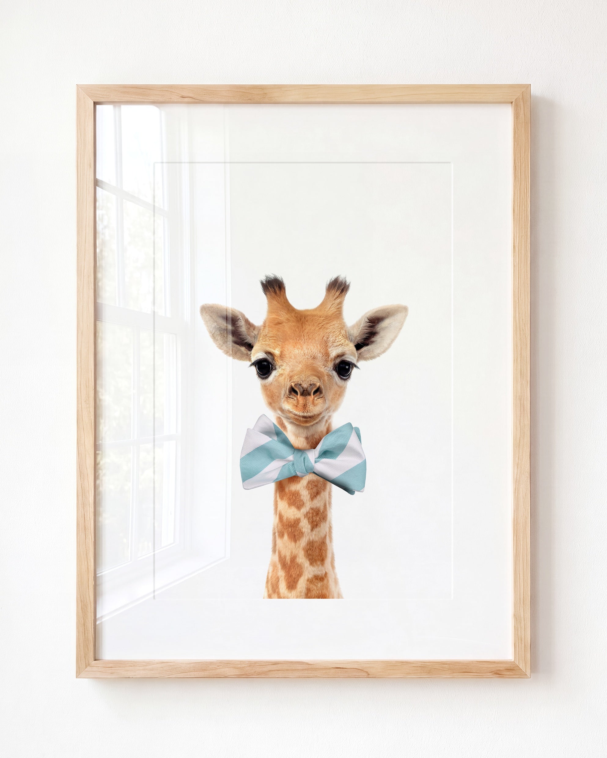 Baby Giraffe