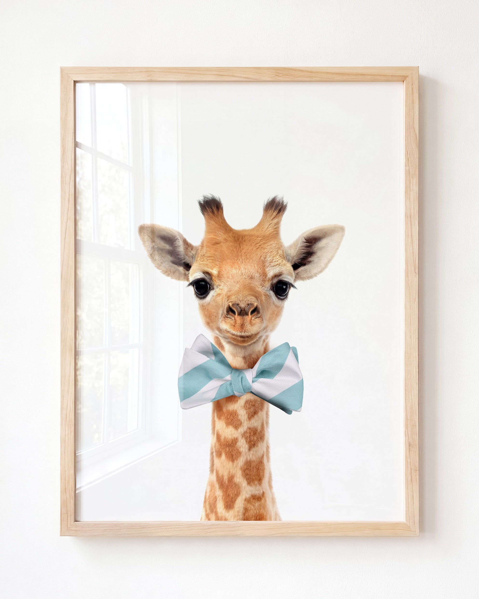Baby Giraffe
