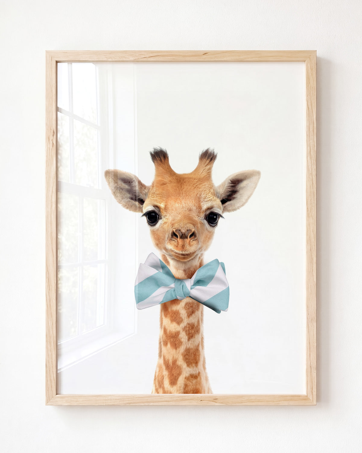 Baby Giraffe