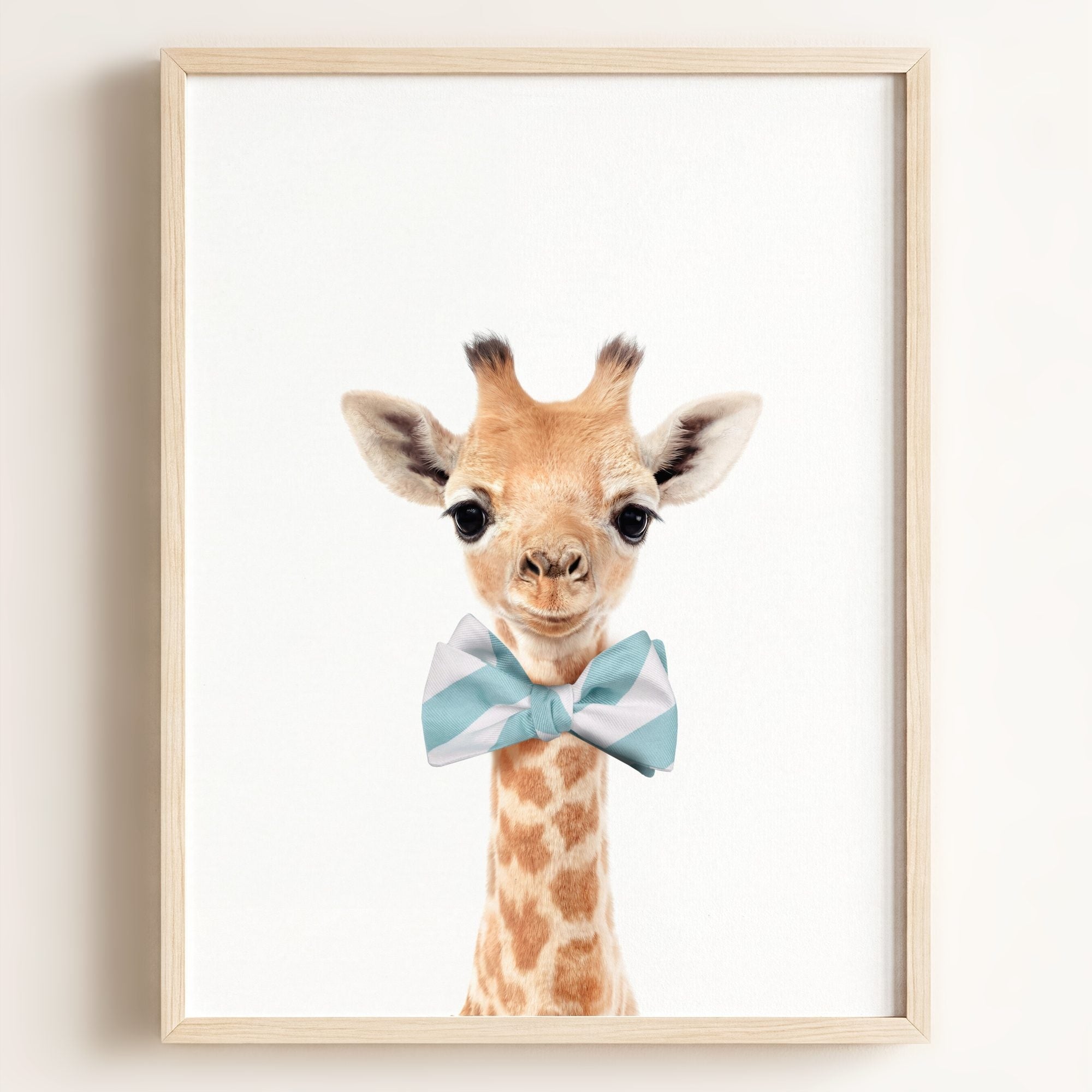 Baby Giraffe