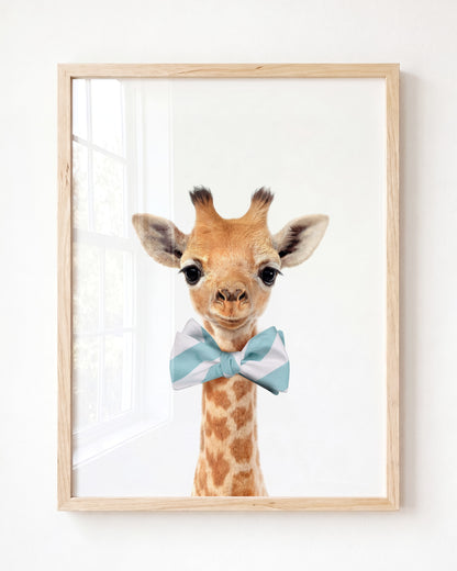 Baby Giraffe